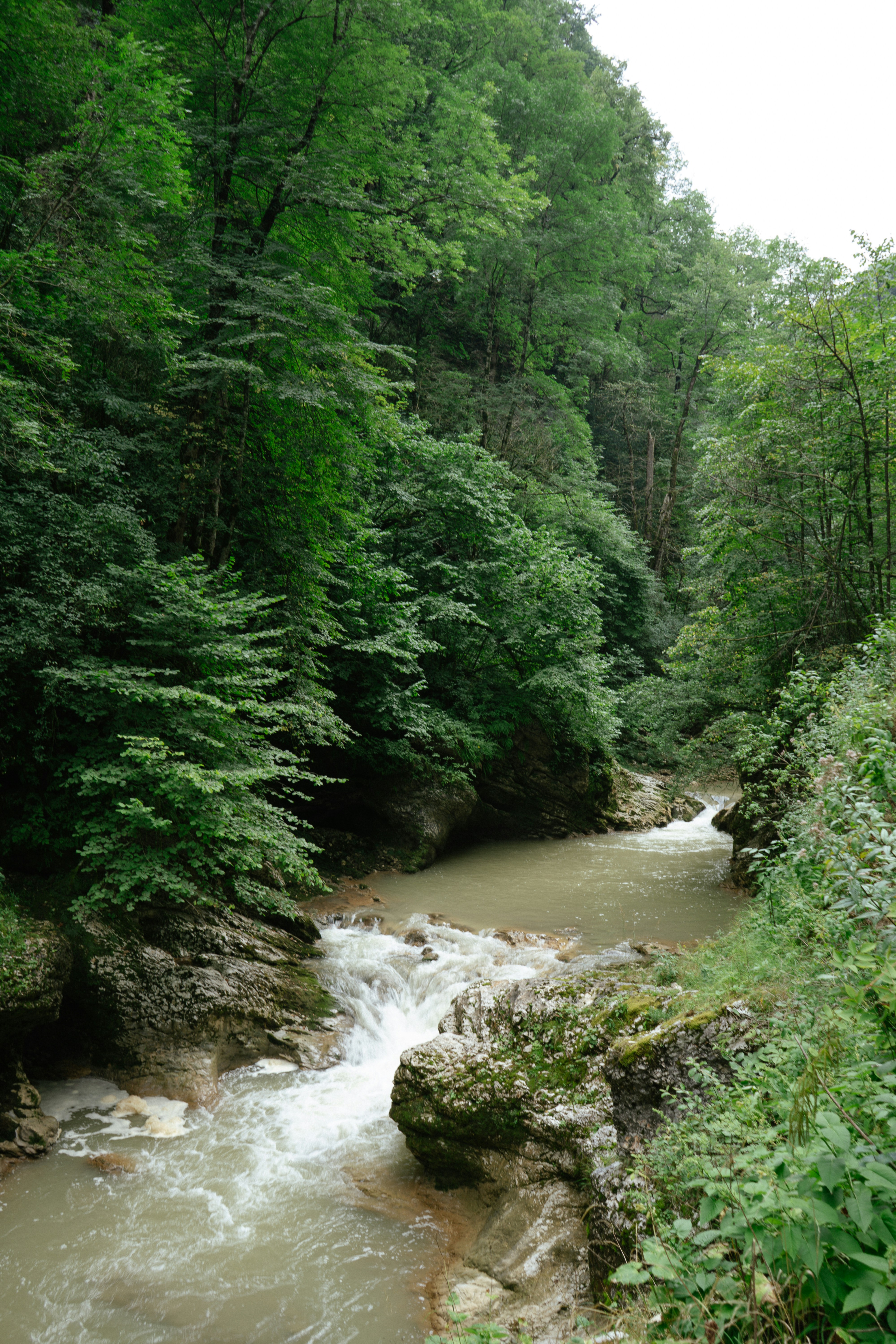 Photo by albina___white