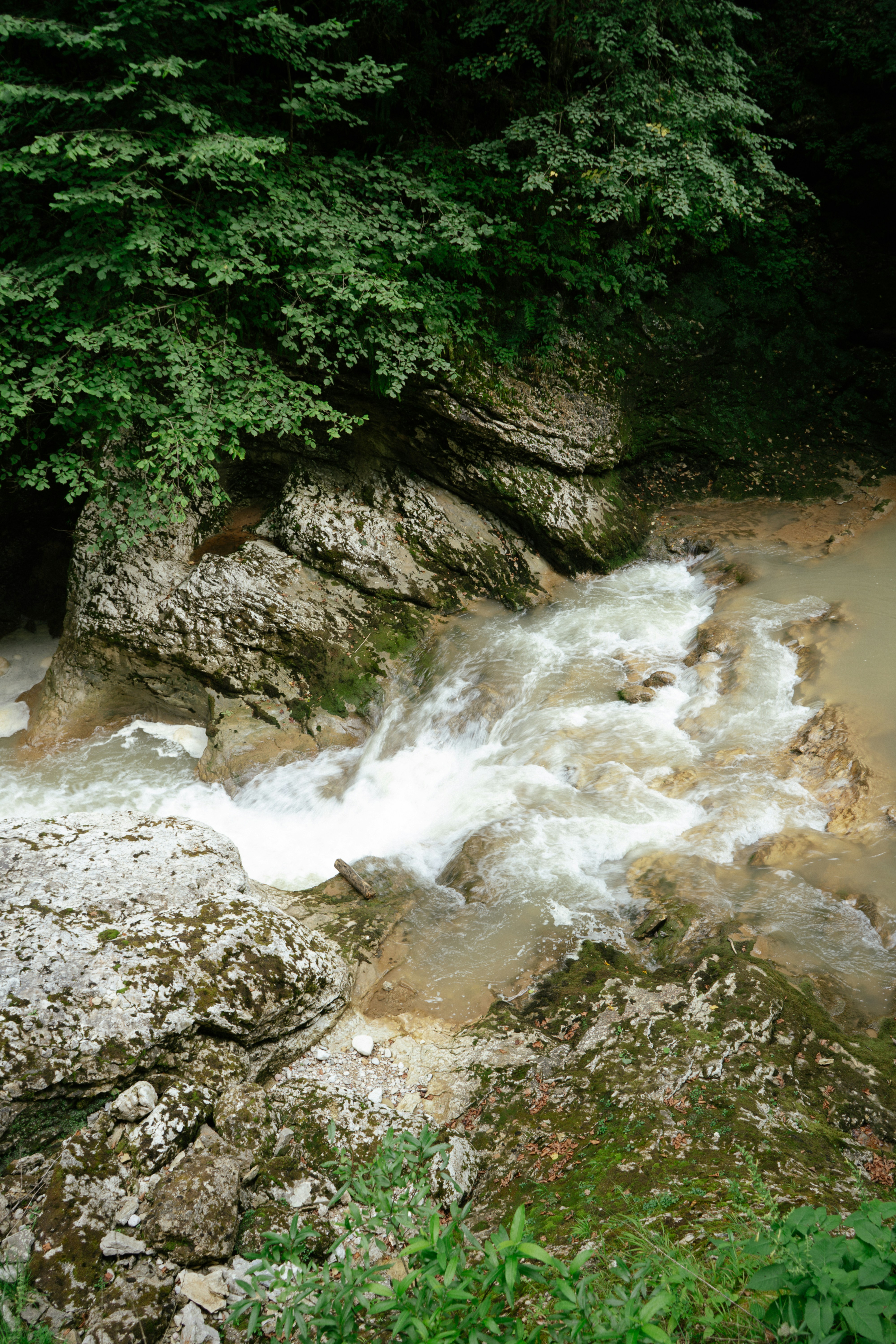 Photo by albina___white