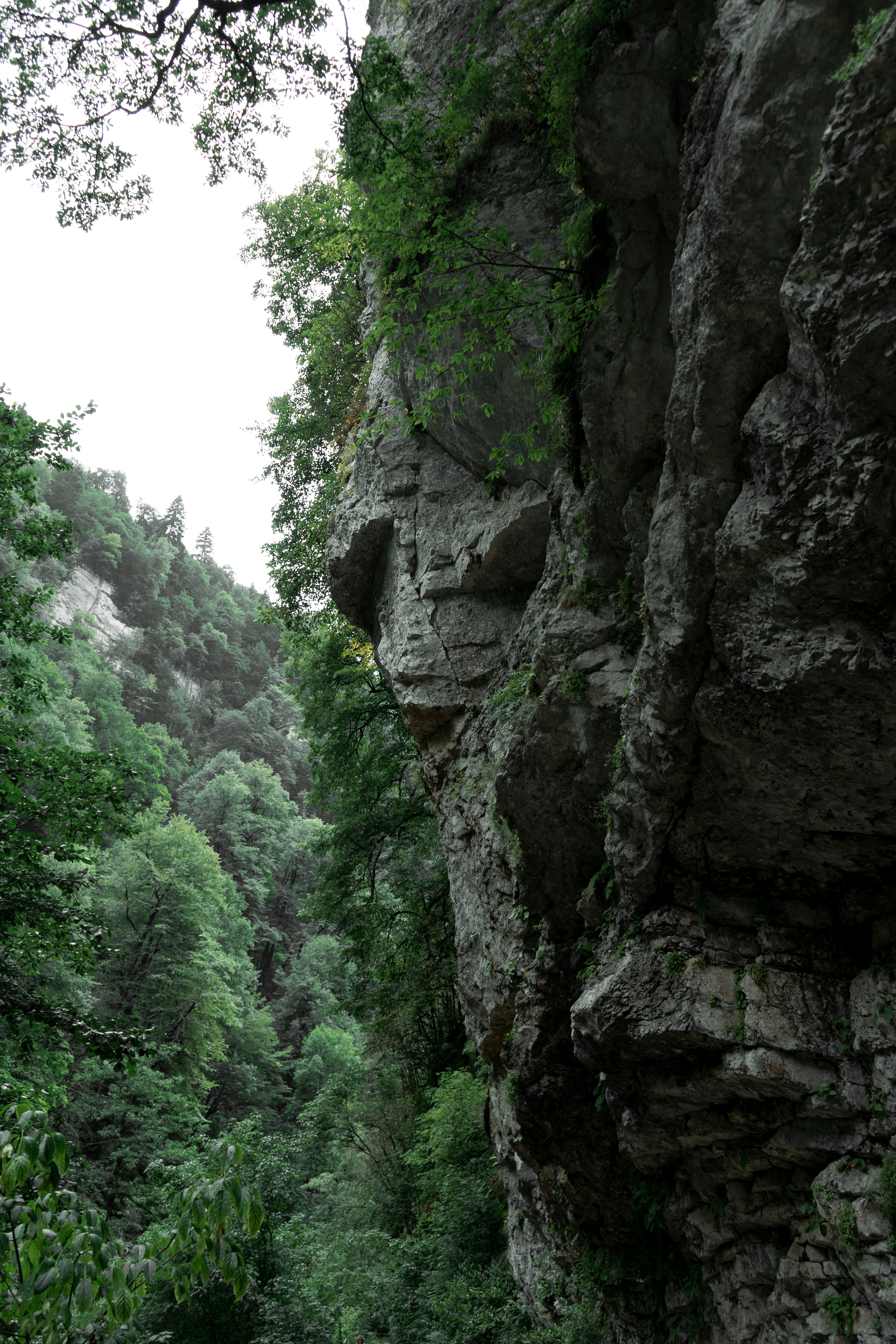 nature hiking wallpaper, wallpaper, Healthy Lunch Ideas for Day Hikers 3