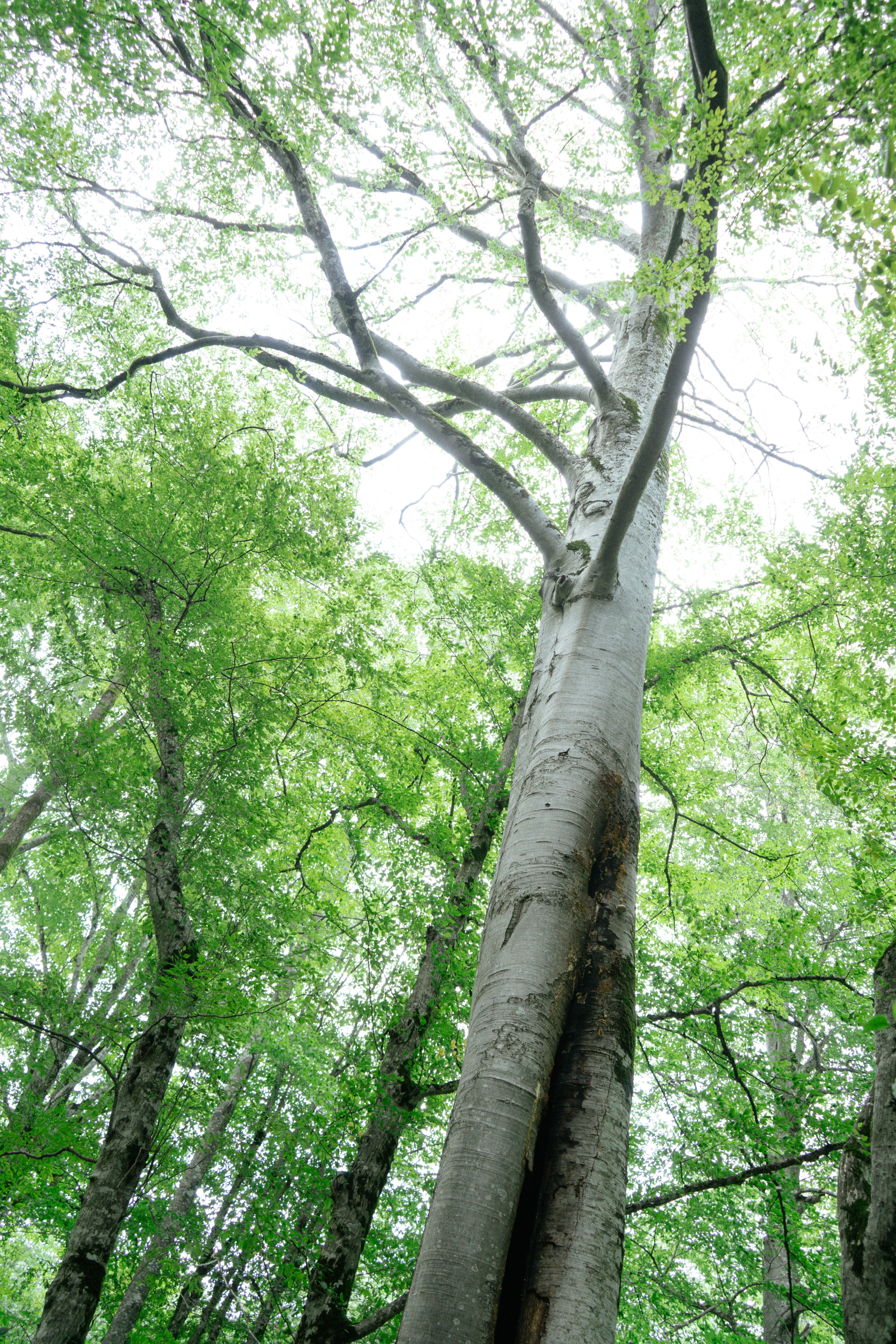 Photo by albina___white