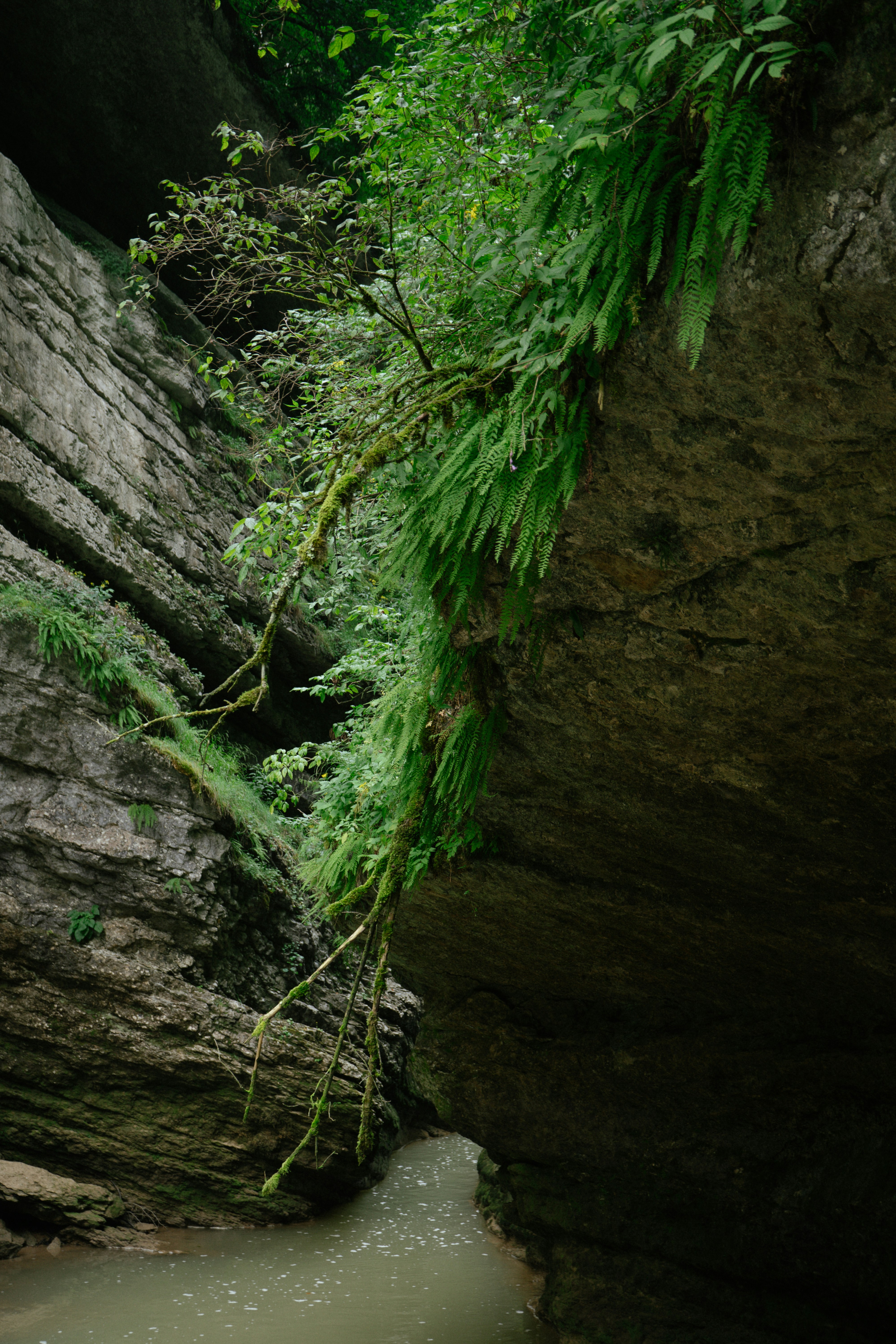 nature hiking wallpaper, wallpaper, Healthy Lunch Ideas for Day Hikers 2