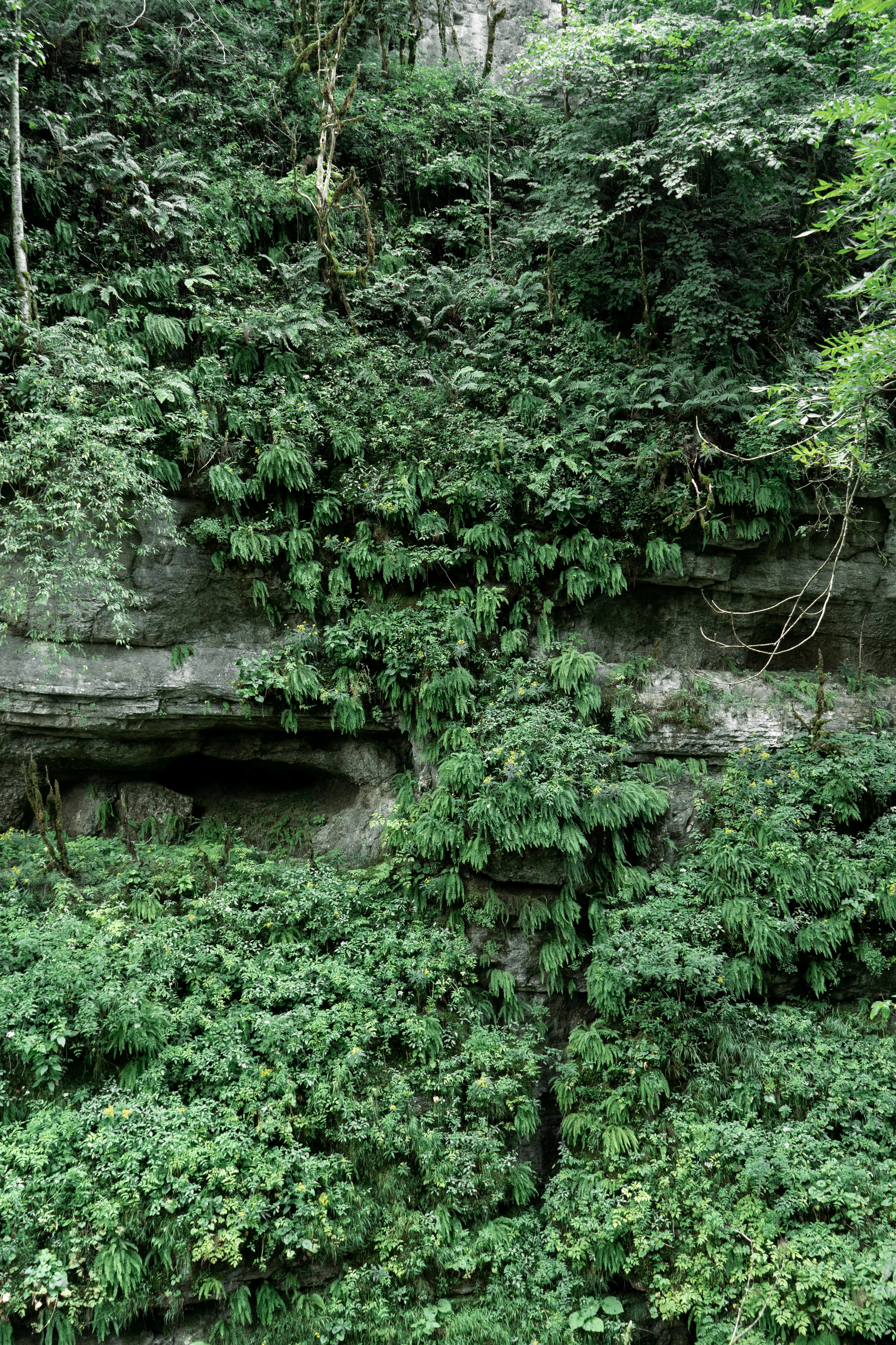 Photo by albina___white