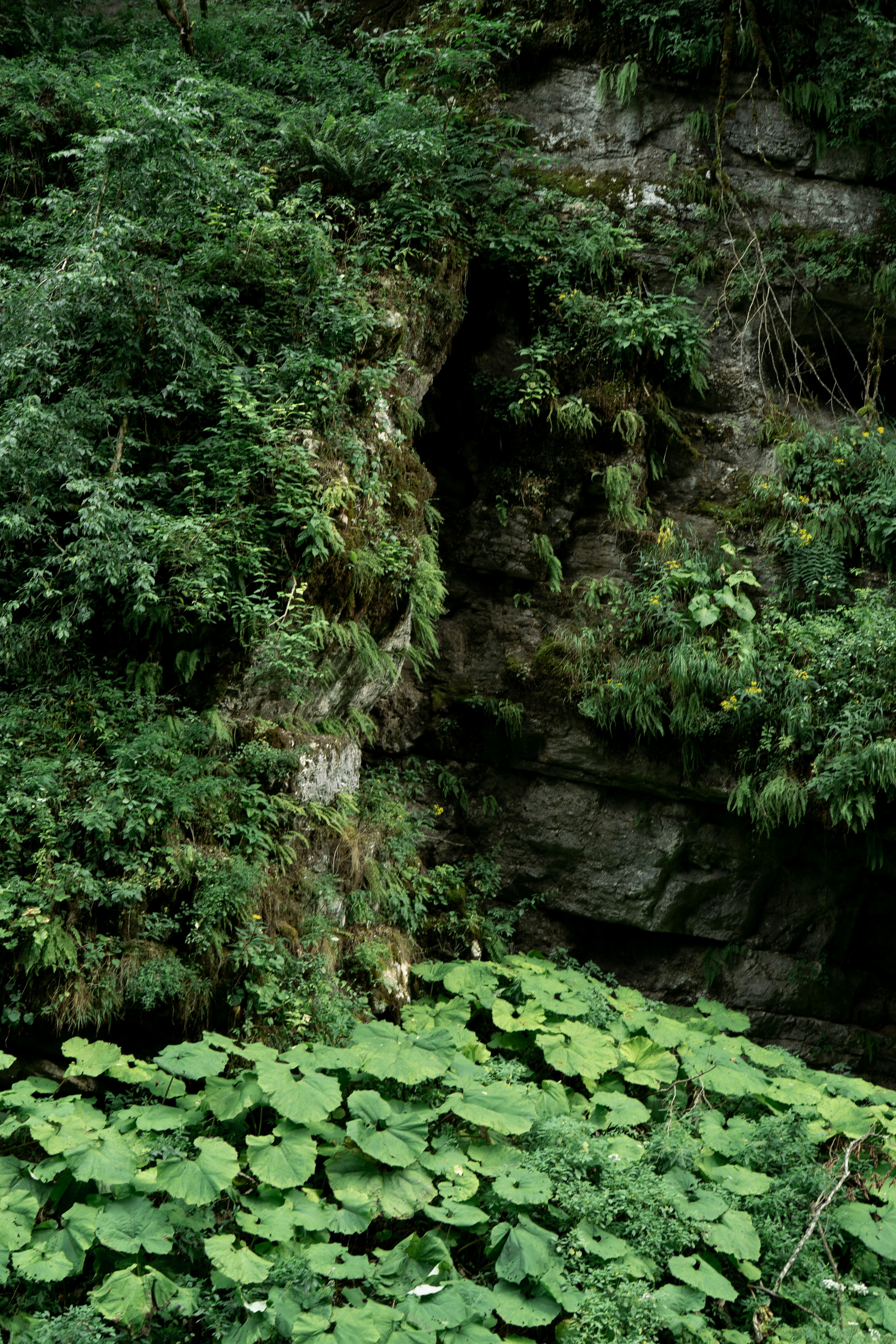 Photo by albina___white