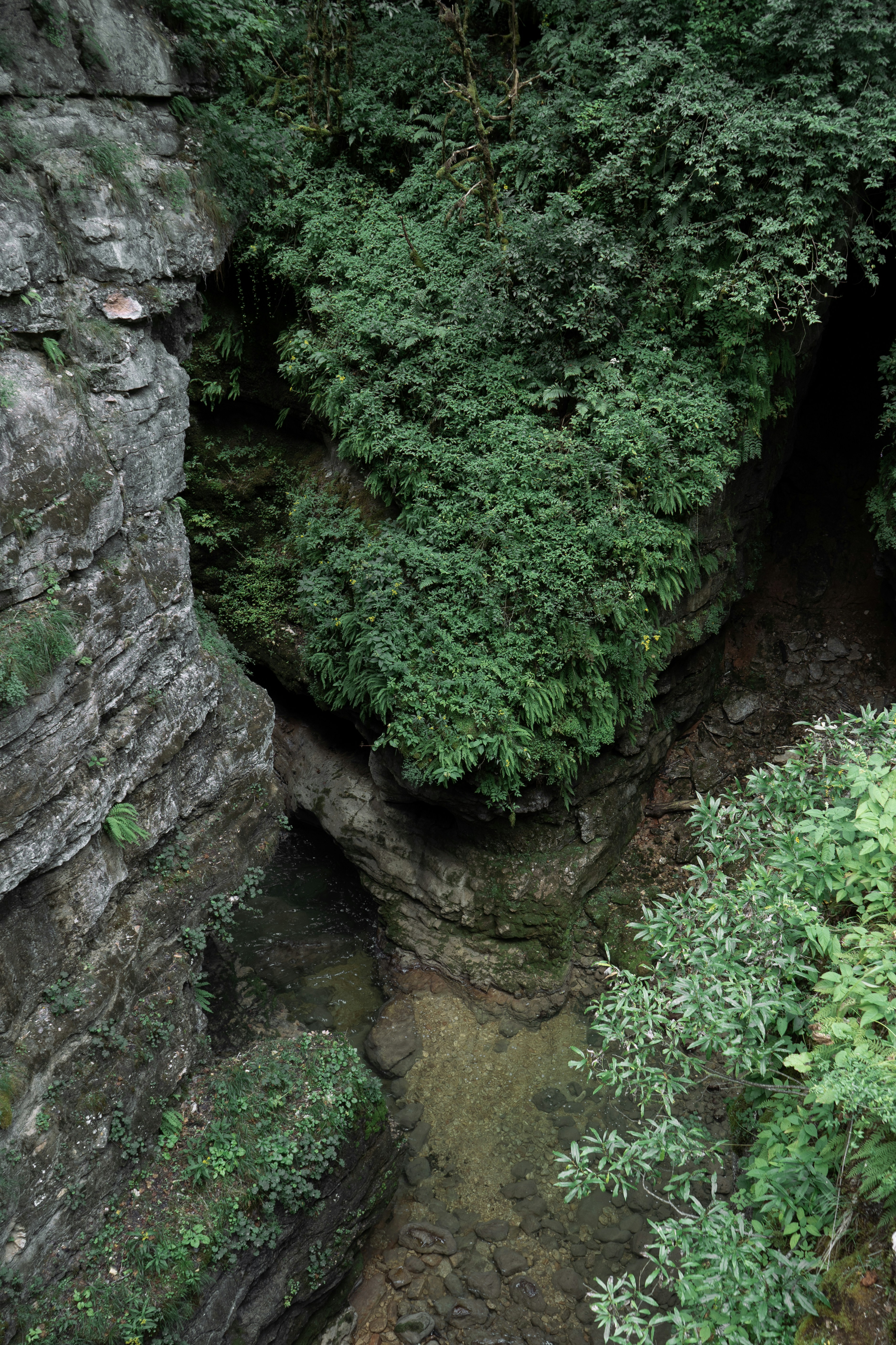 Photo by albina___white