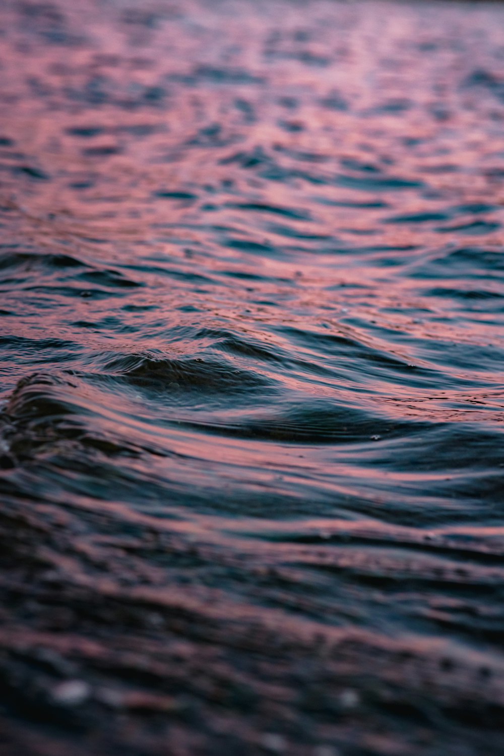 blue water wave during daytime