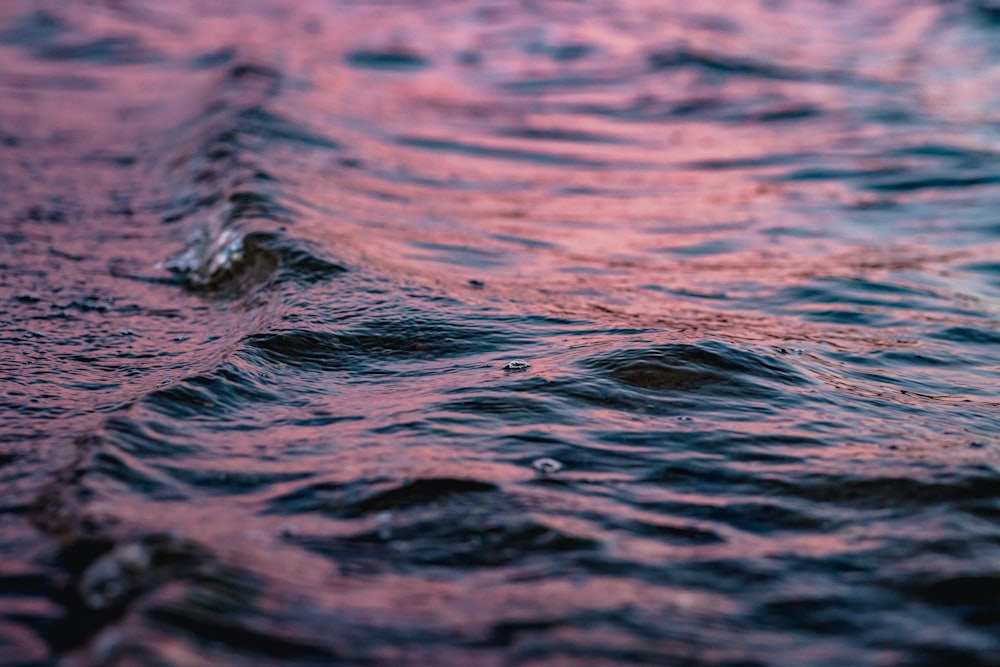 water wave in close up photography