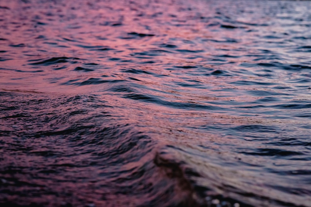 close up photo of body of water