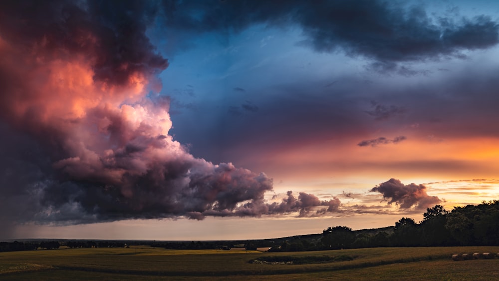 Campo di erba verde sotto il cielo blu e le nuvole bianche durante il giorno