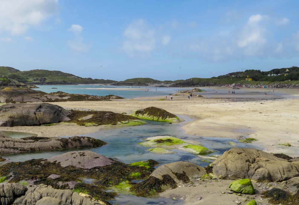 green and brown rock formation on seashore during daytime