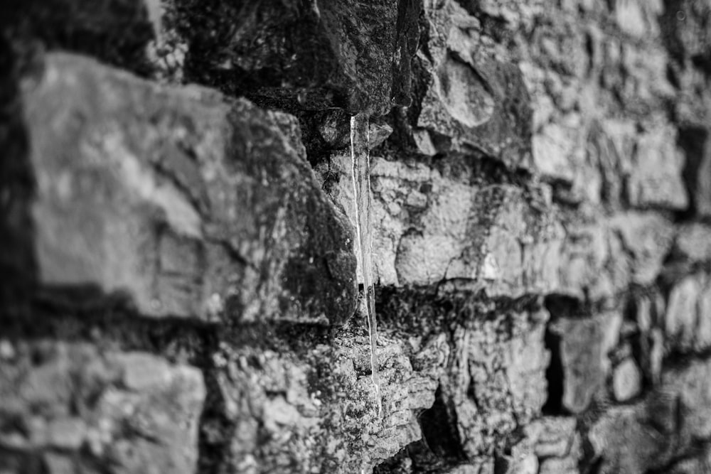 Foto en escala de grises del rocío de agua en la roca