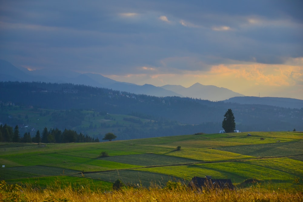 green grass field near mountain during daytime