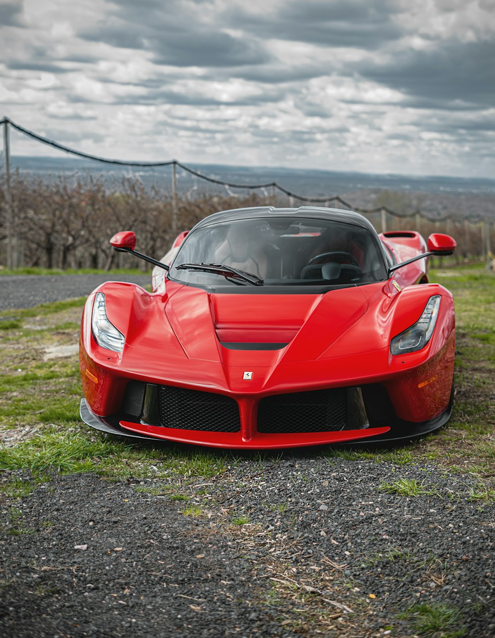 red ferrari sports car on green grass field during daytime