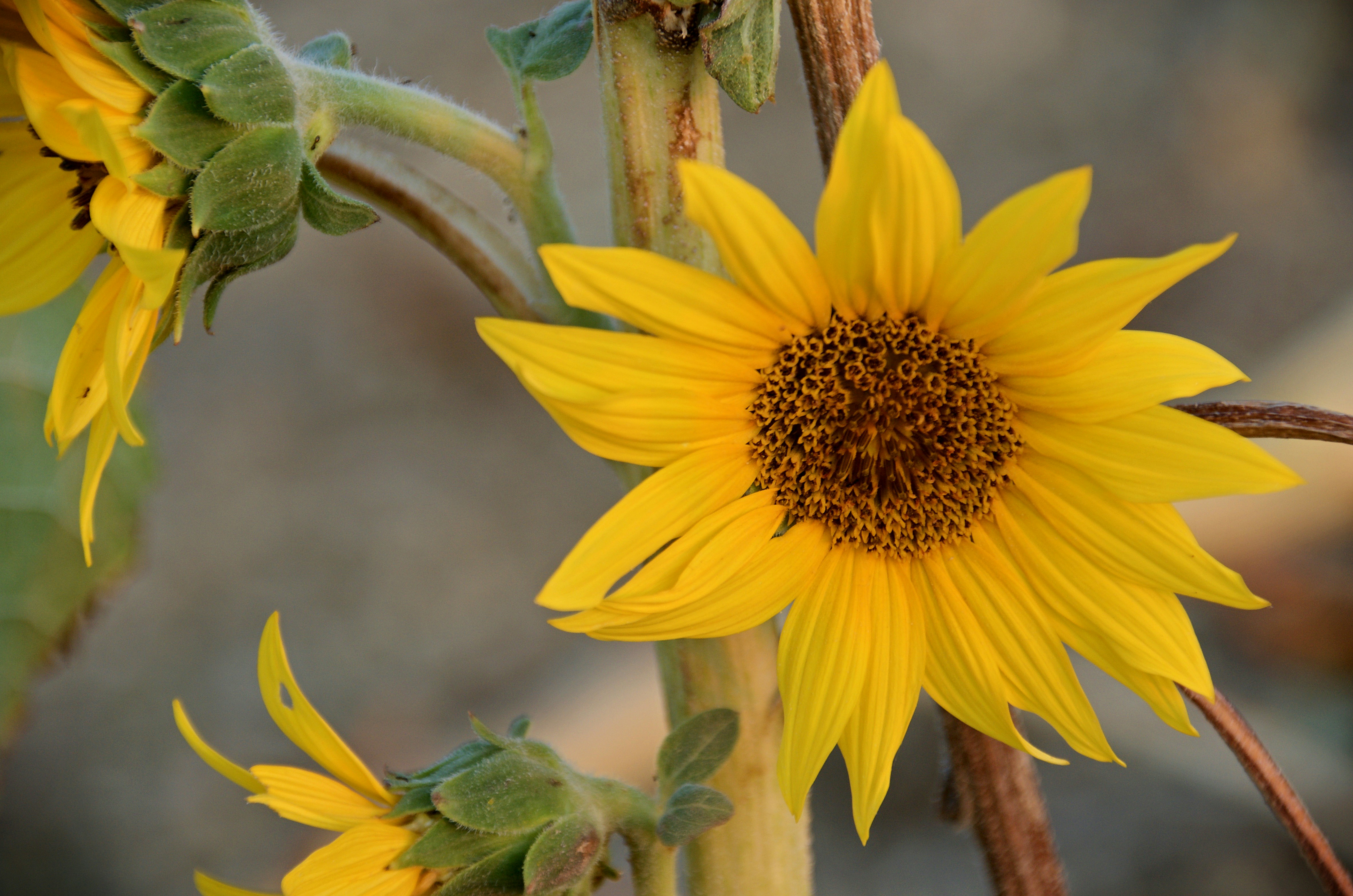 Photo by mariobeducci