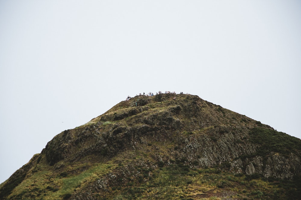 green grass covered mountain under white sky during daytime