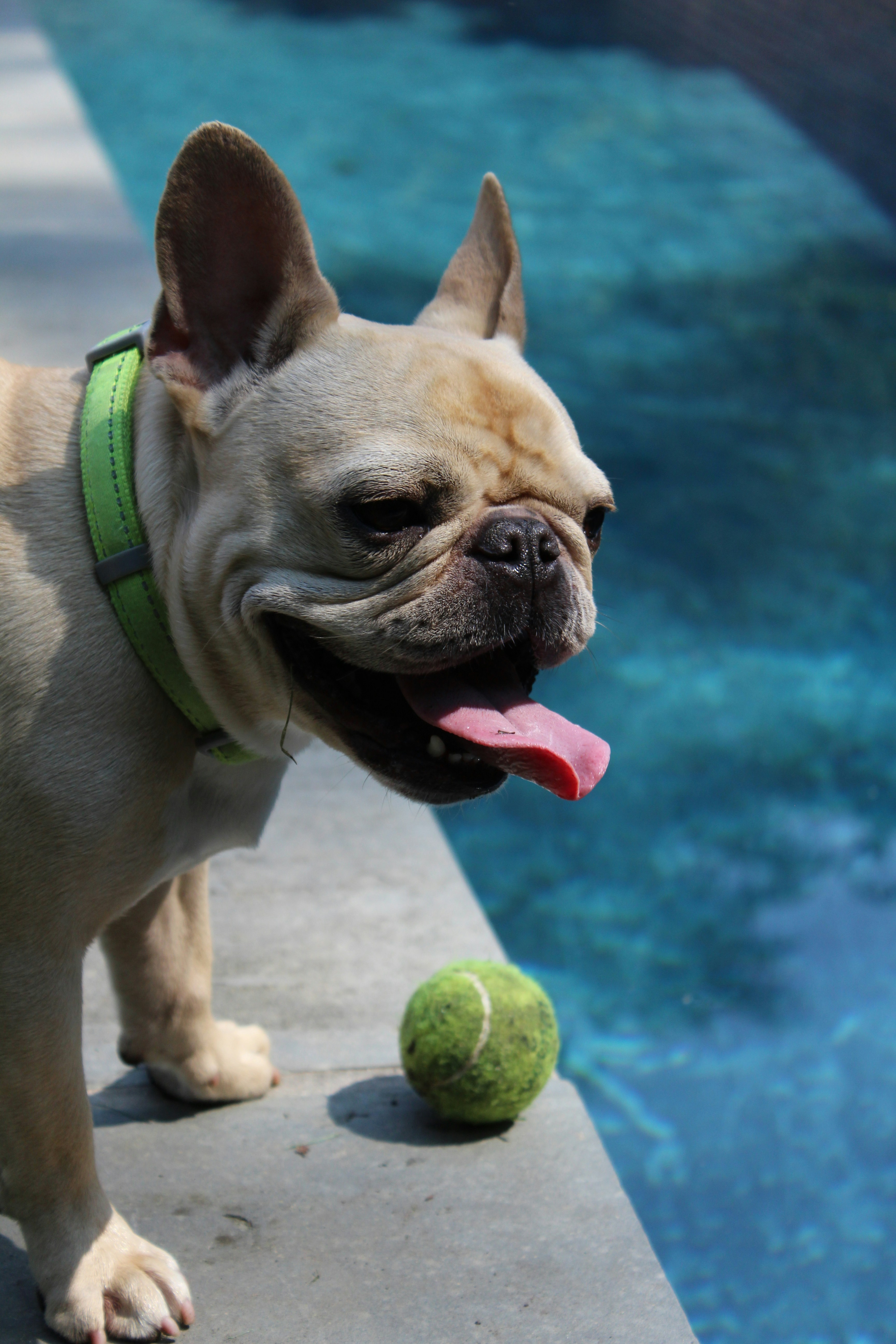 Photo by maygauthier