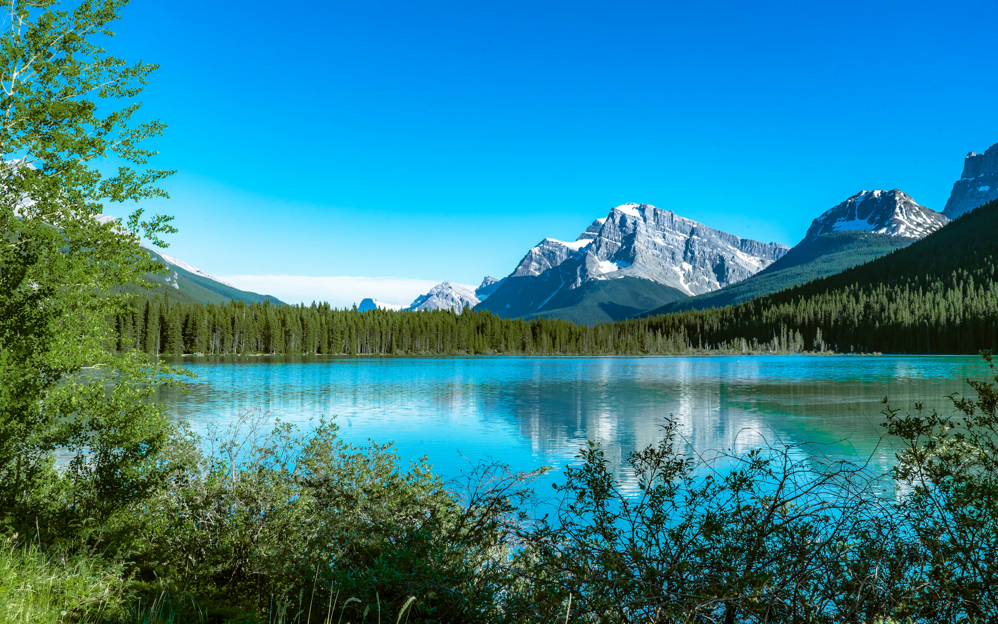 Bow Lake and snow-covered peaks in the Canadian Rockies, Alberta