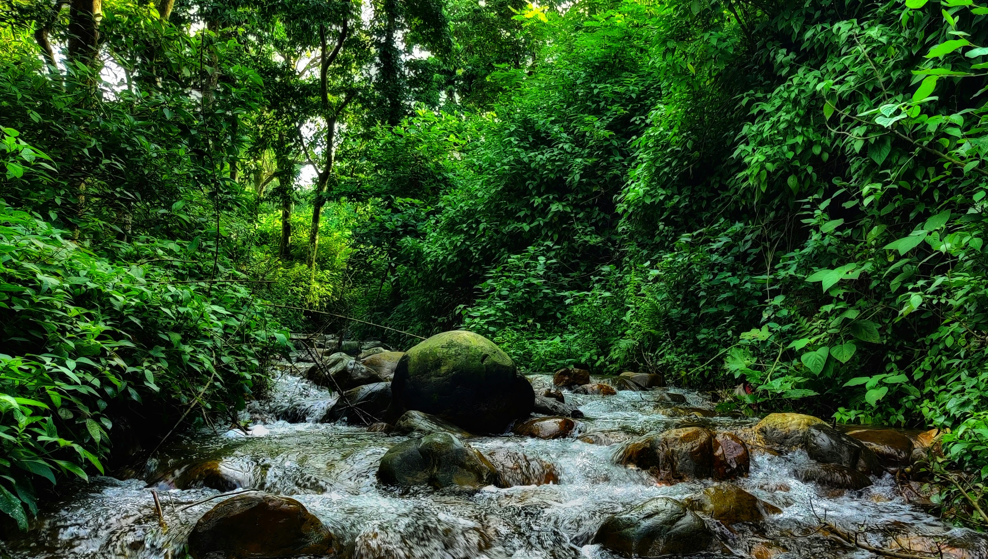 Photo by ayush_unsplash007