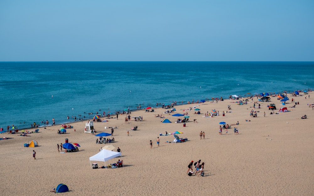 people on beach during daytime