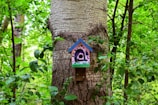 A vibrant birdhouse installed in a green park.