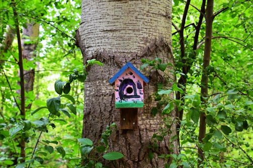 A vibrant birdhouse installed in a green park.