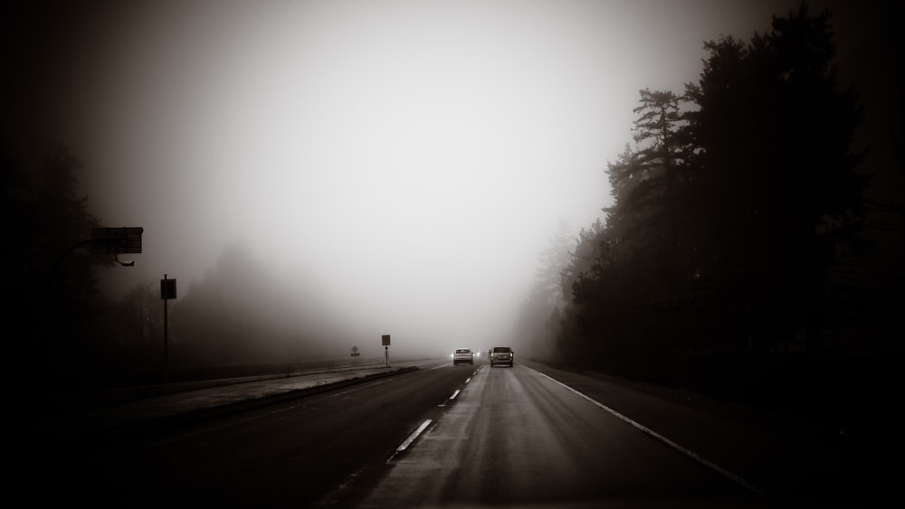霧の天下での道路上の車