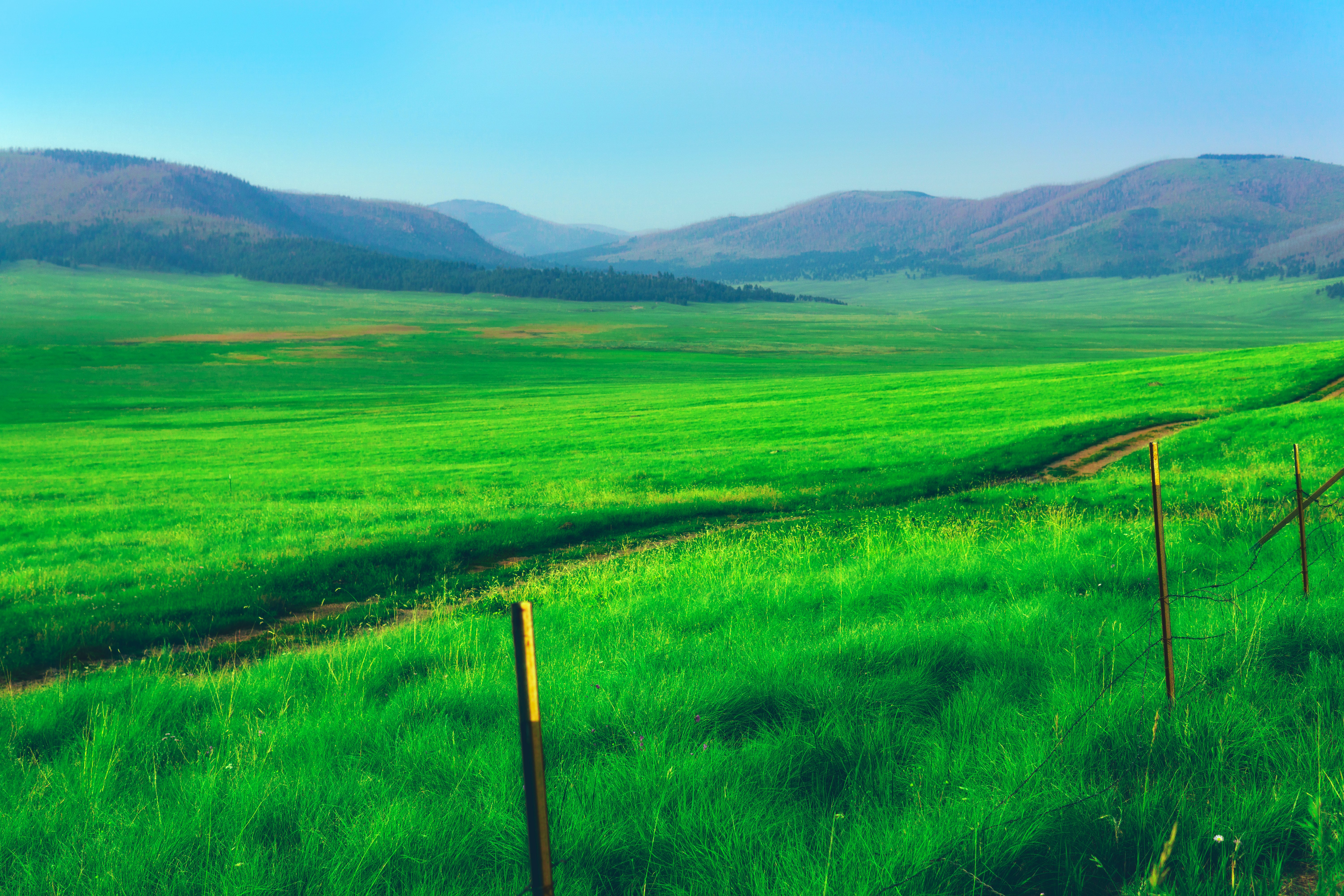 green grass field under blue sky during daytime