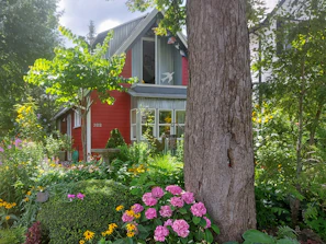 Charming garden with colorful flowers and a rustic wooden bench outside a house