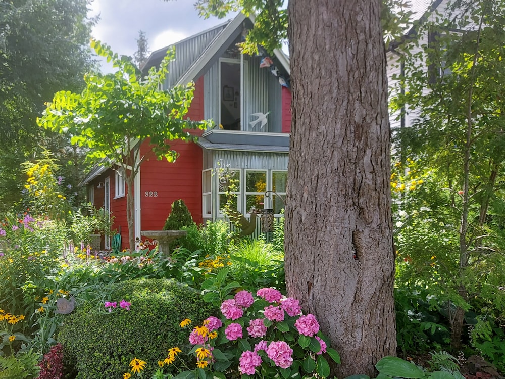 red and white house near tree