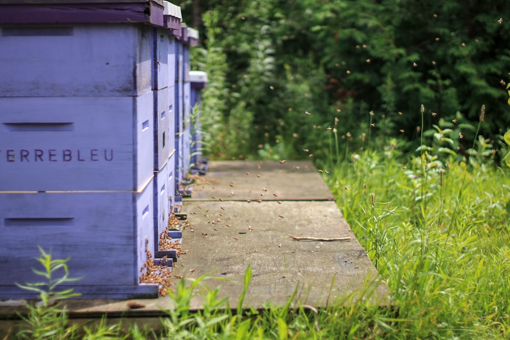 Caja de madera blanca y azul en camino de madera marrón