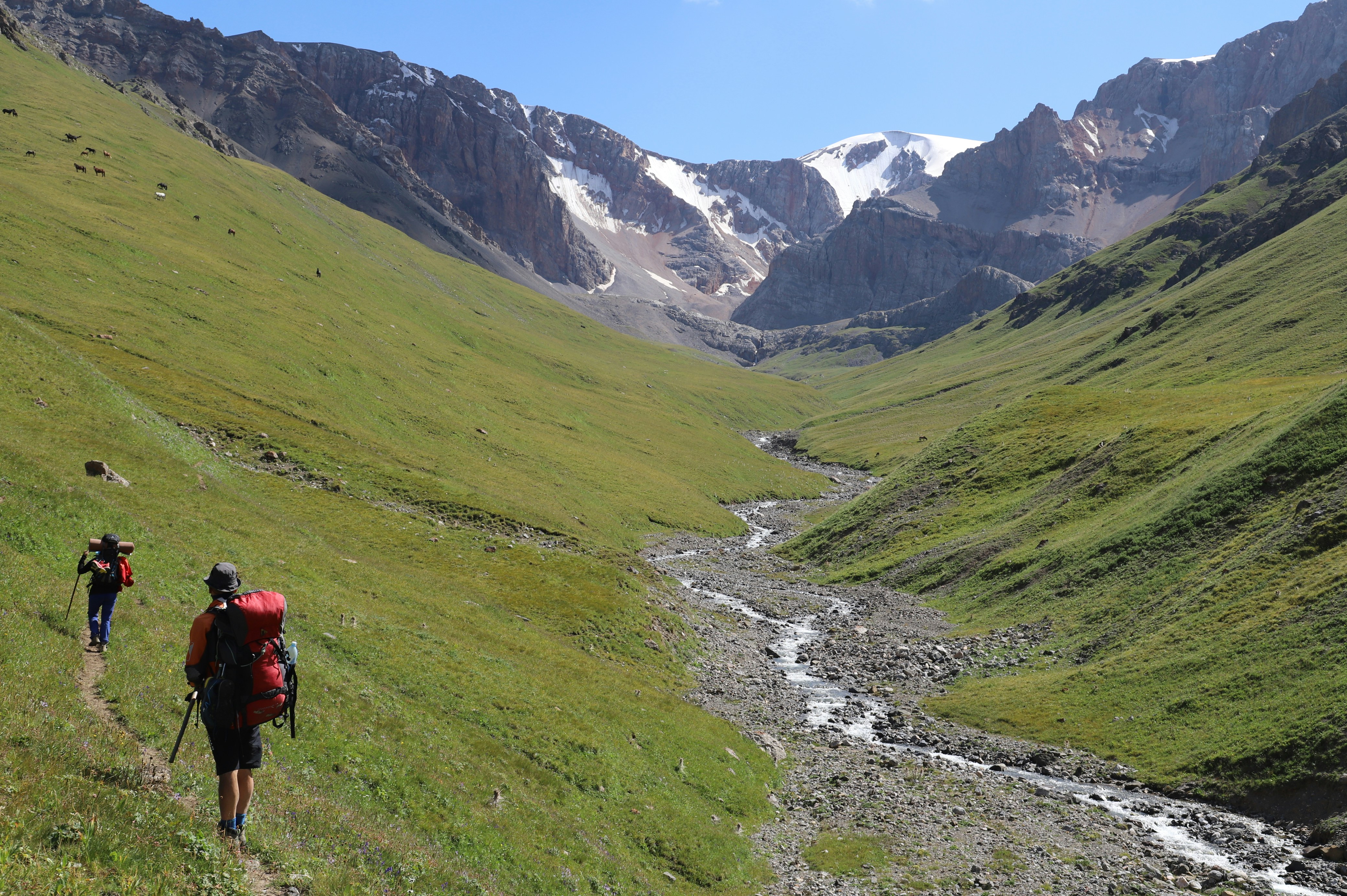 person in red jacket and black pants walking on green grass field during daytime