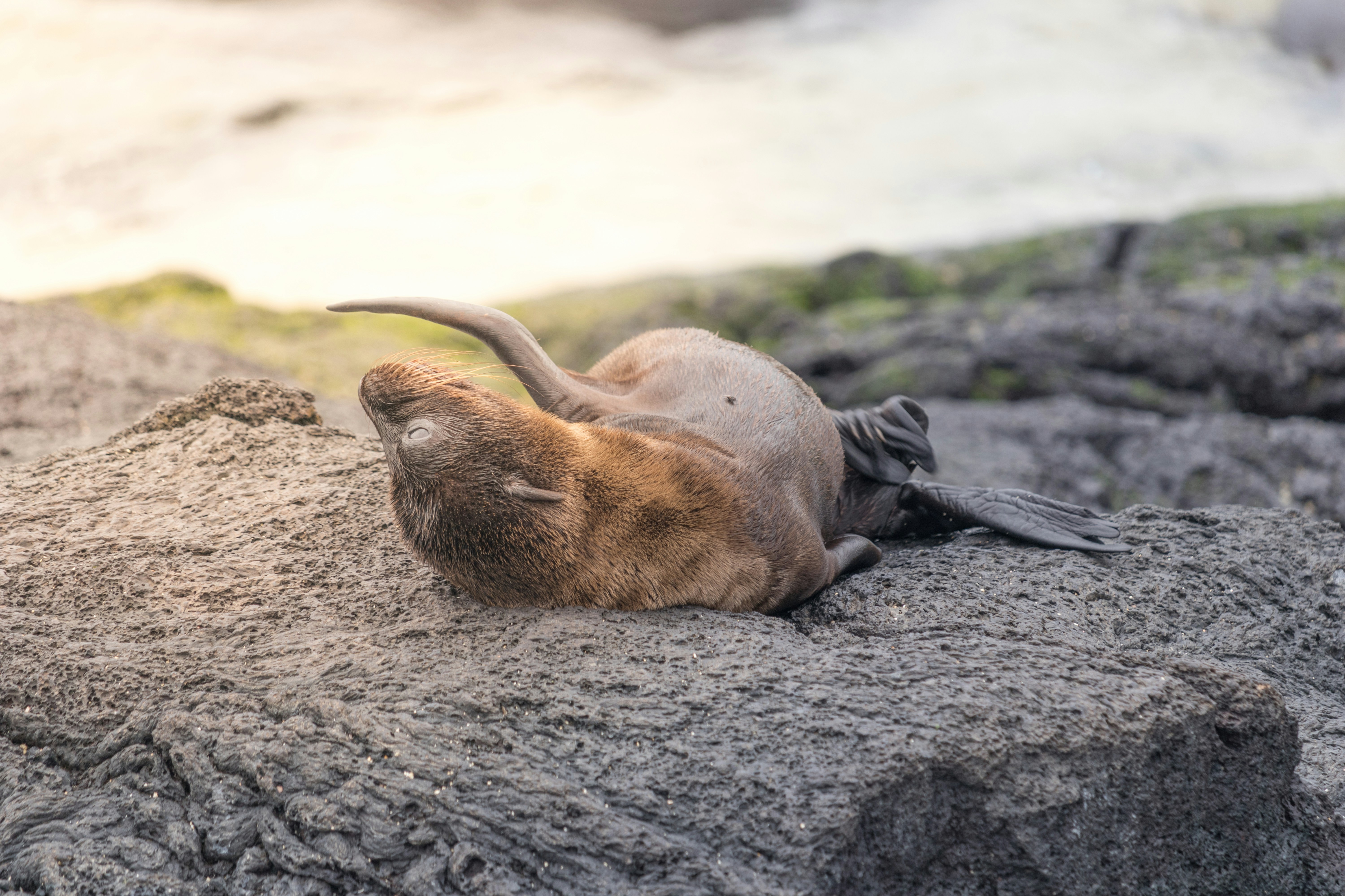 Photo by jacobhinkston