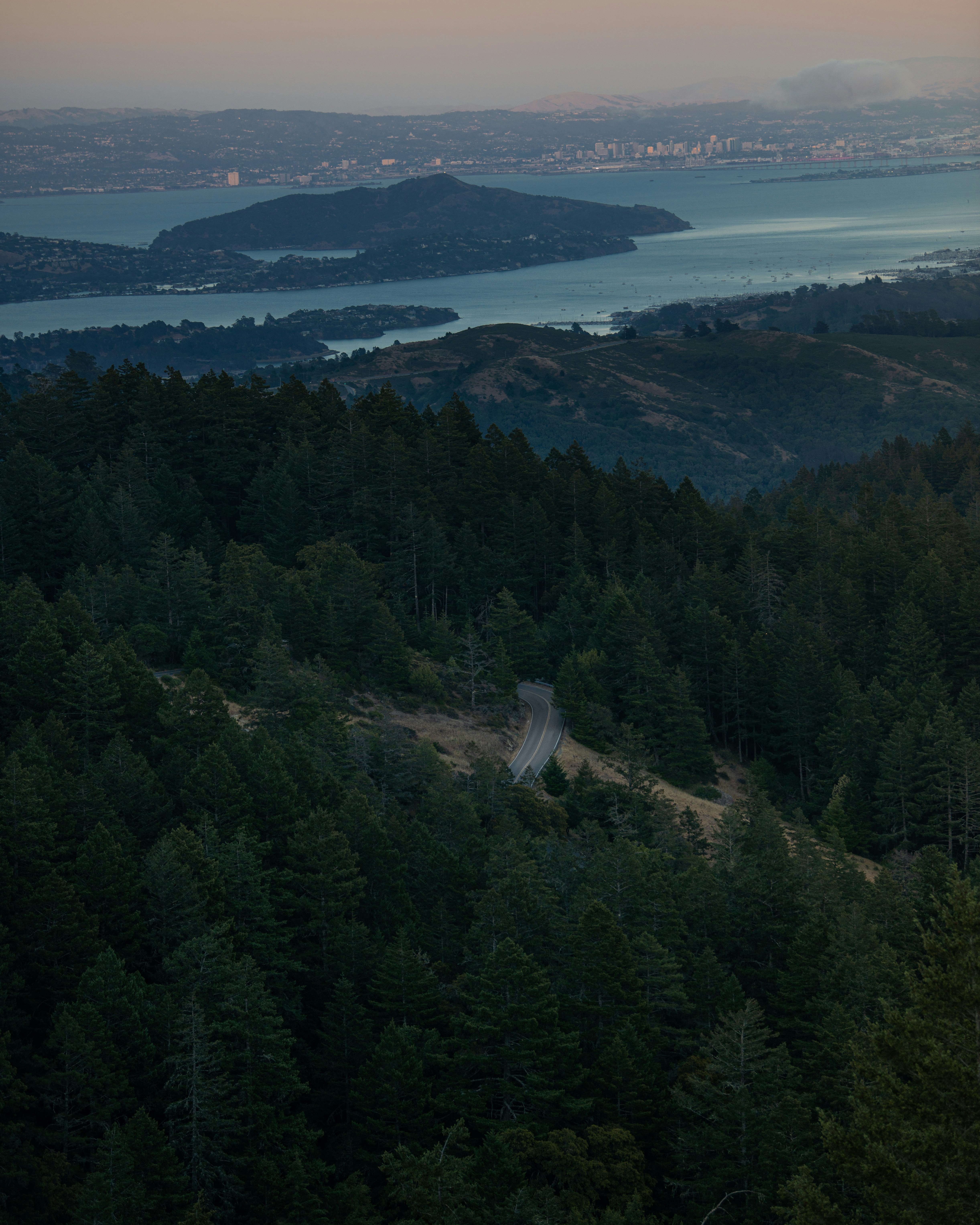 árvores verdes na montanha durante o dia