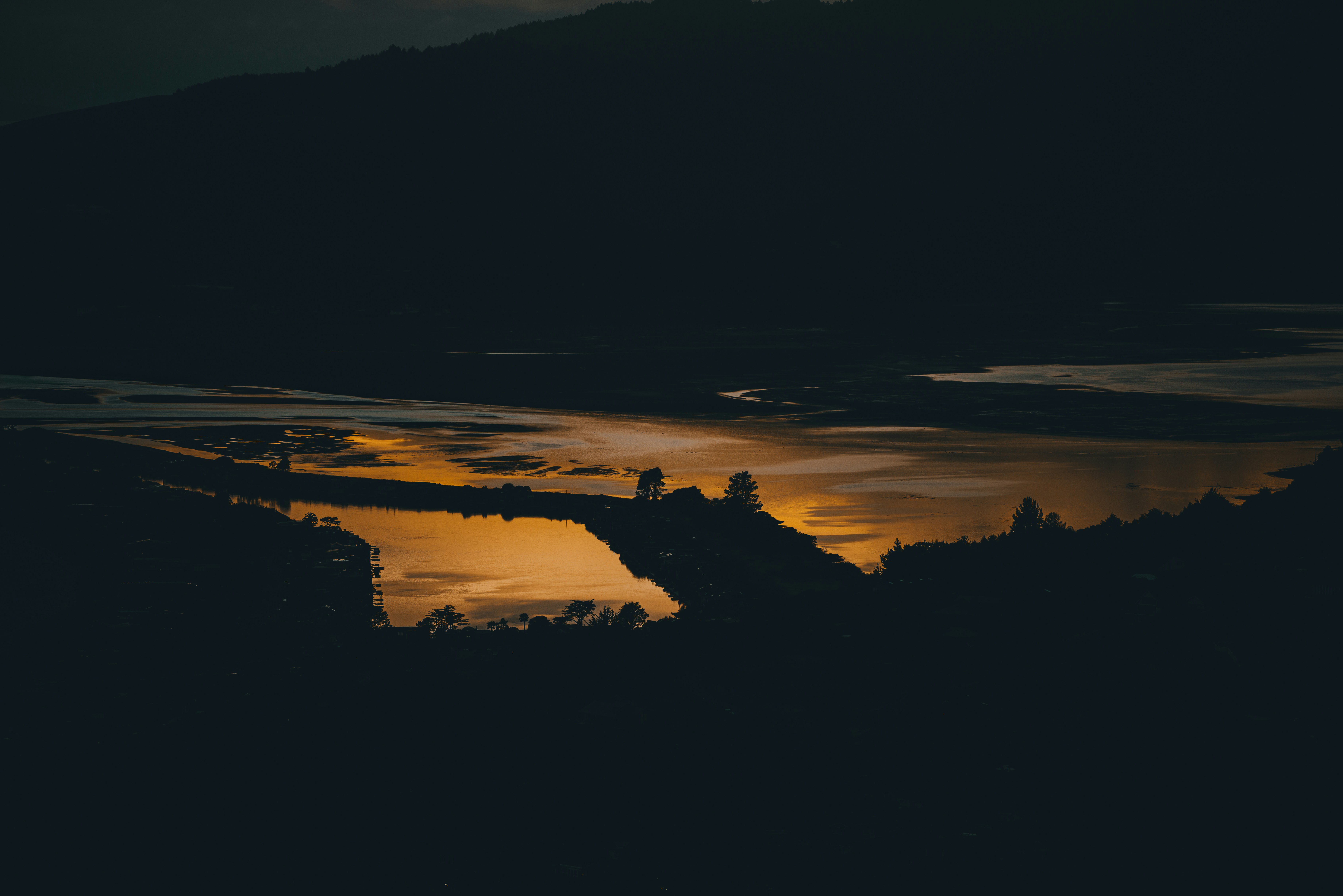 silhueta das árvores durante o pôr do sol