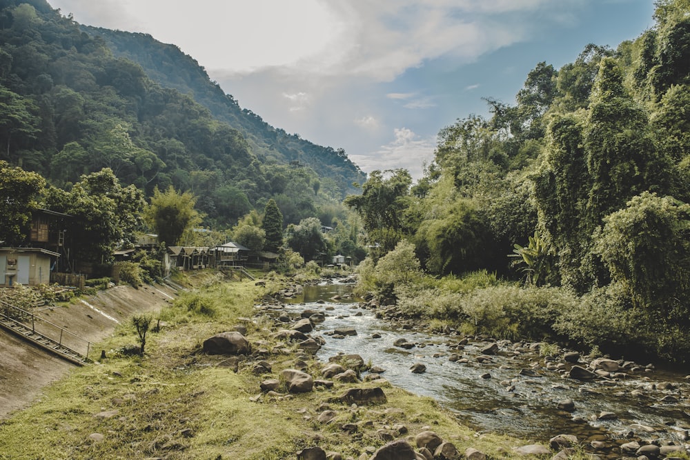 green trees and river under blue sky during daytime