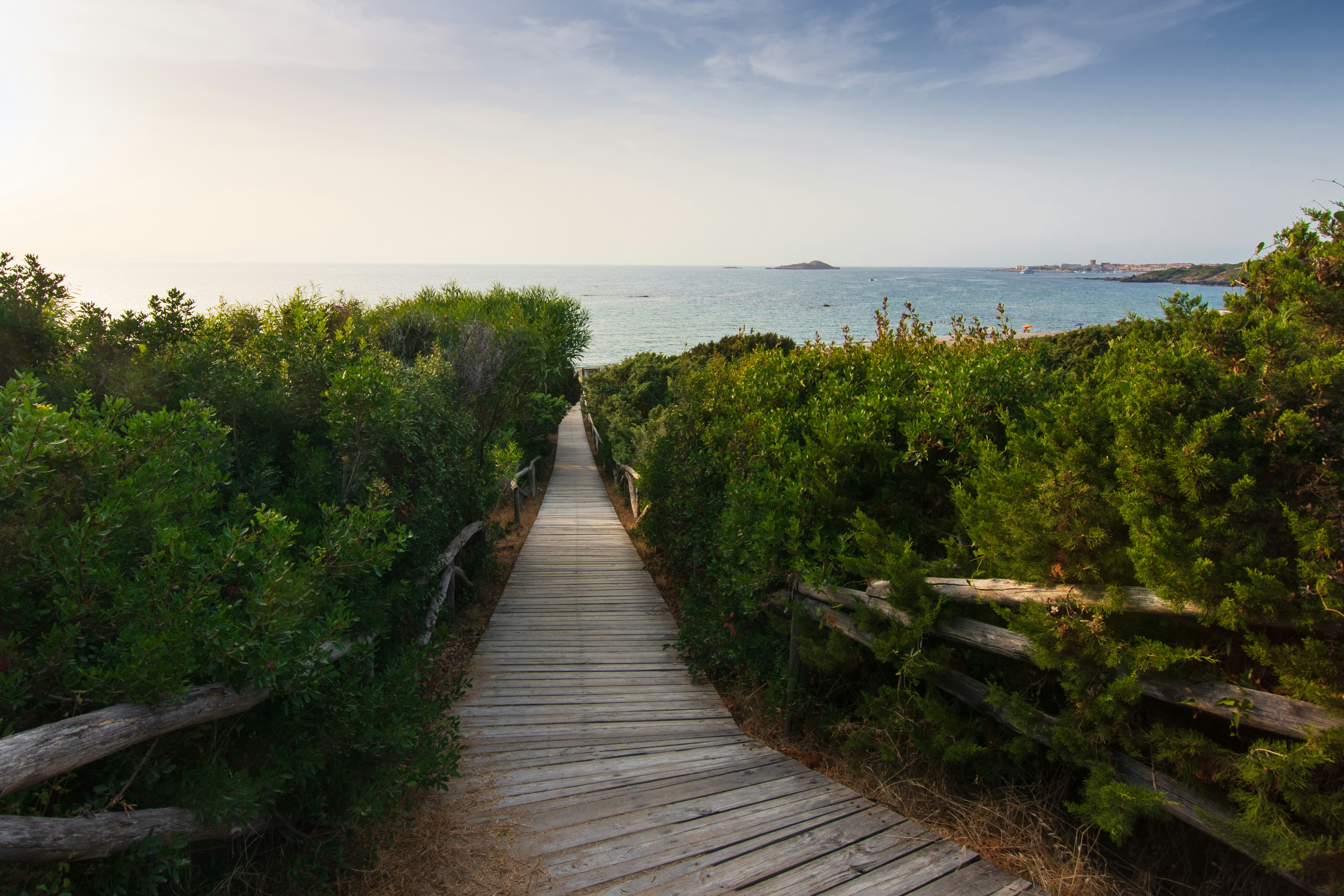 brown wooden pathway between green grass field near sea under white clouds during daytime