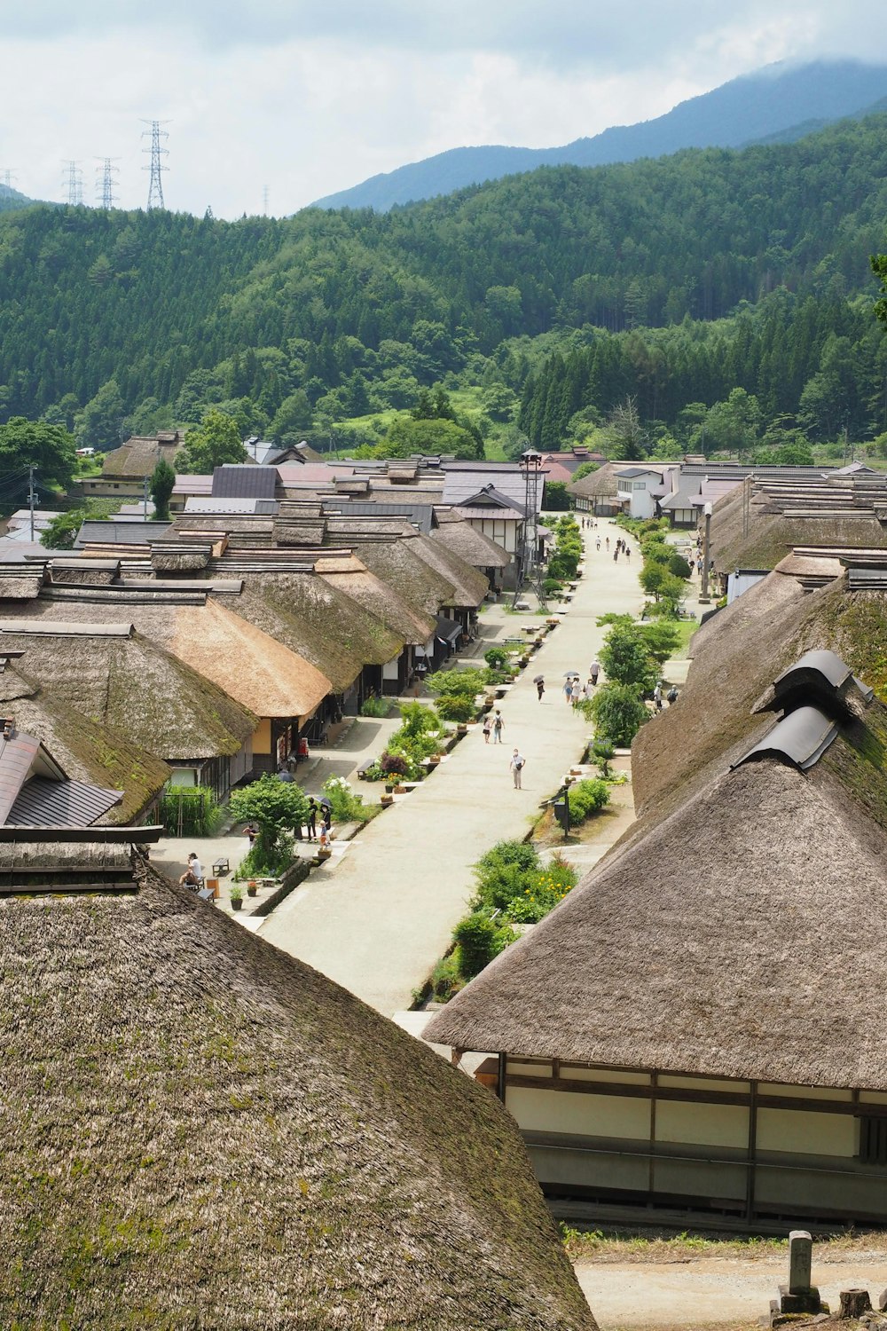 aerial view of houses near green trees during daytime