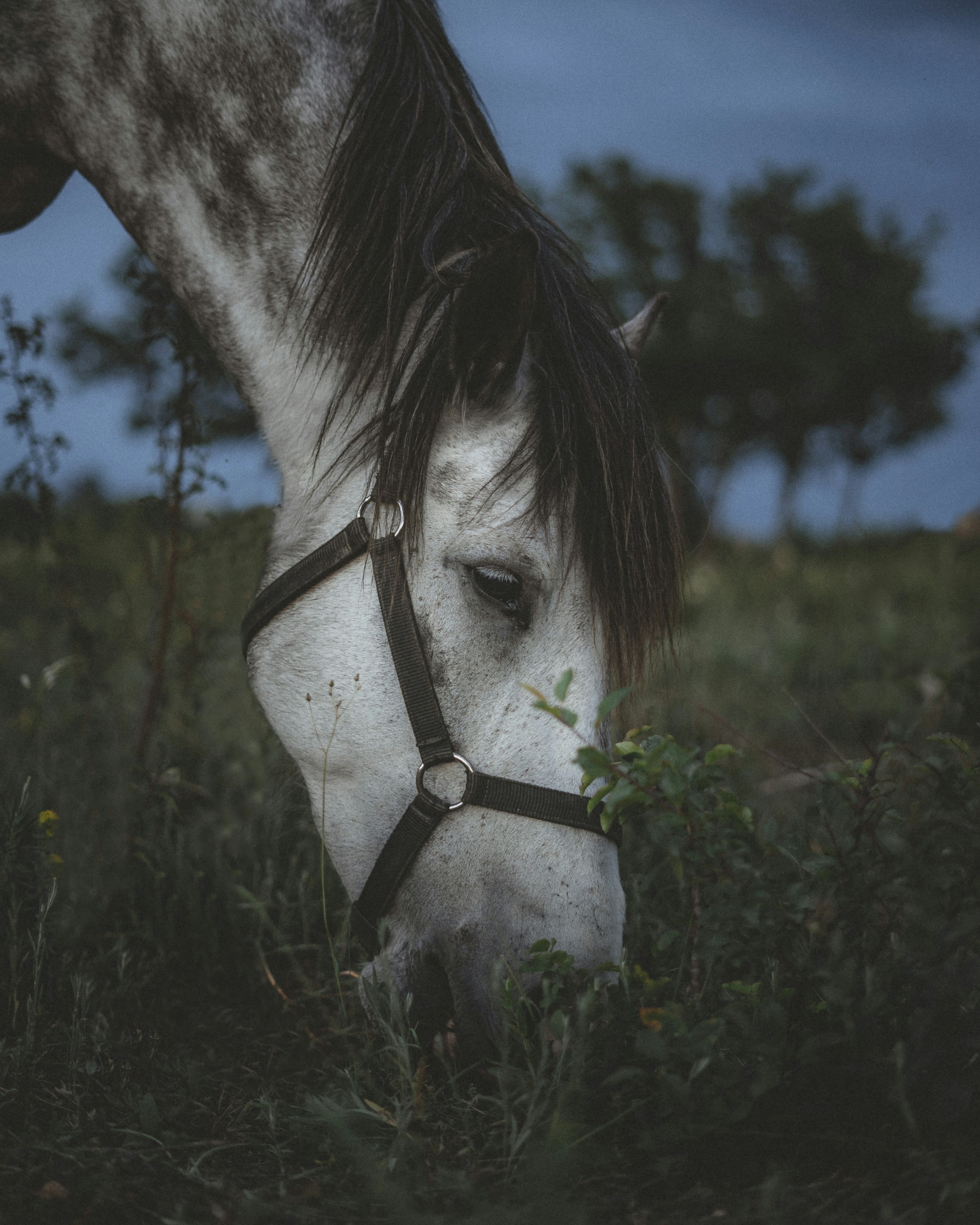 Photo by fillvlad_5031380_sink