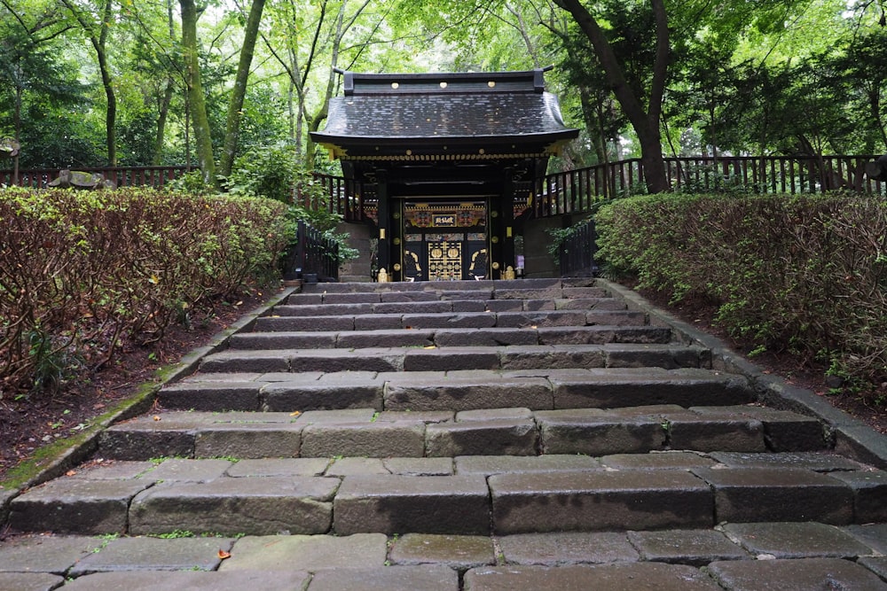 Escaleras de hormigón gris con plantas verdes