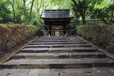 【2026年】仙台一人旅完全ガイド｜牛タン・松島・青葉城・2泊3日モデルコース徹底解説