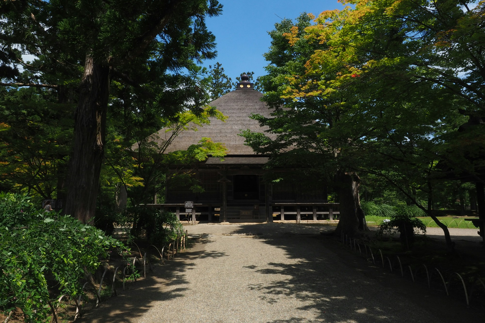 Exploring Hiraizumi's Authentic Cuisine