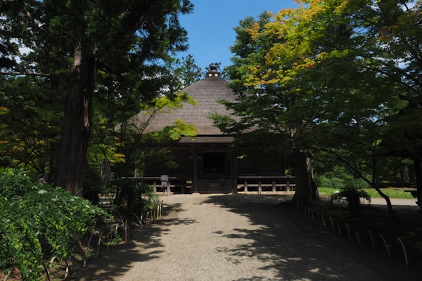 Exploring Hiraizumi's Authentic Cuisine