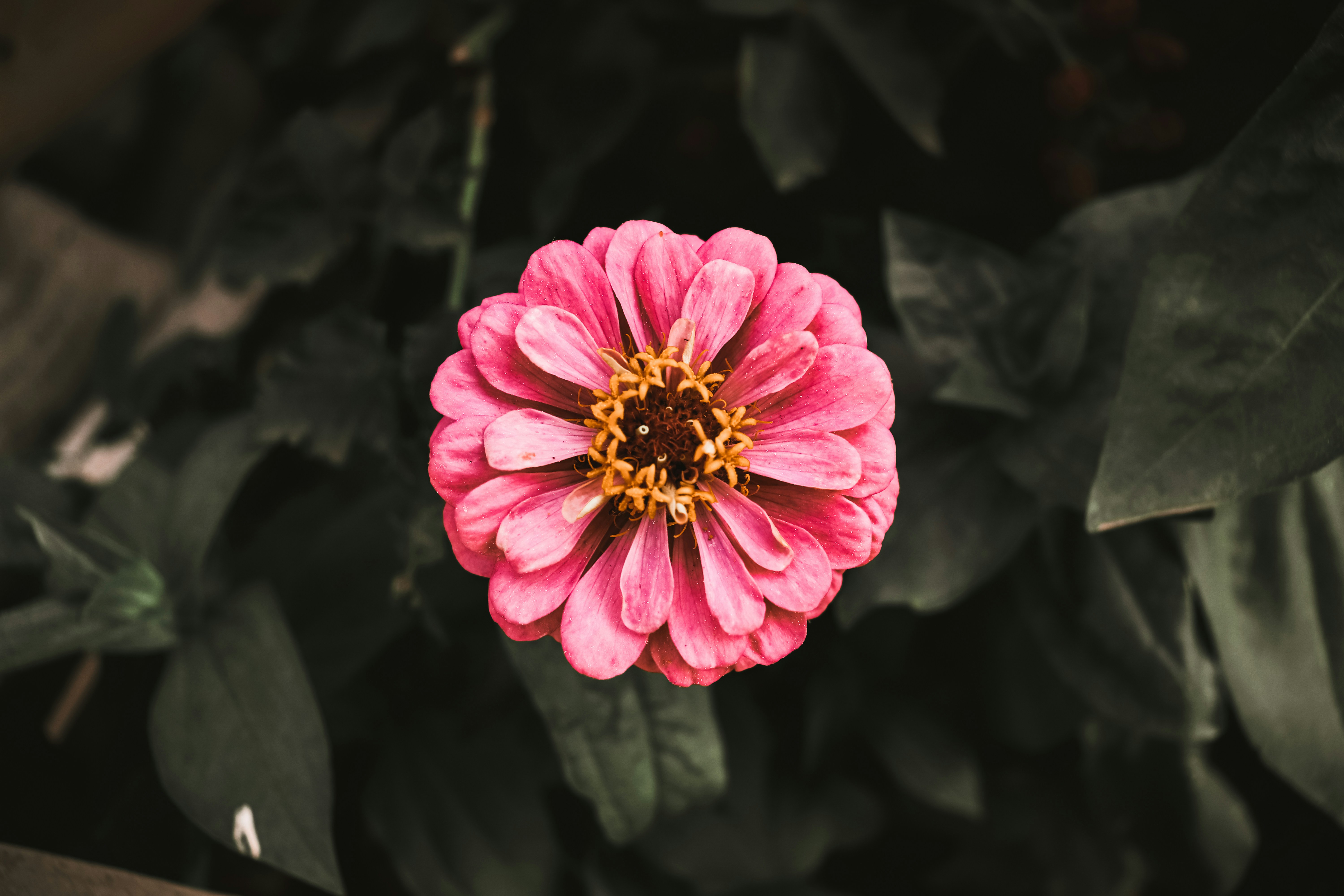 Photo by krisztian21