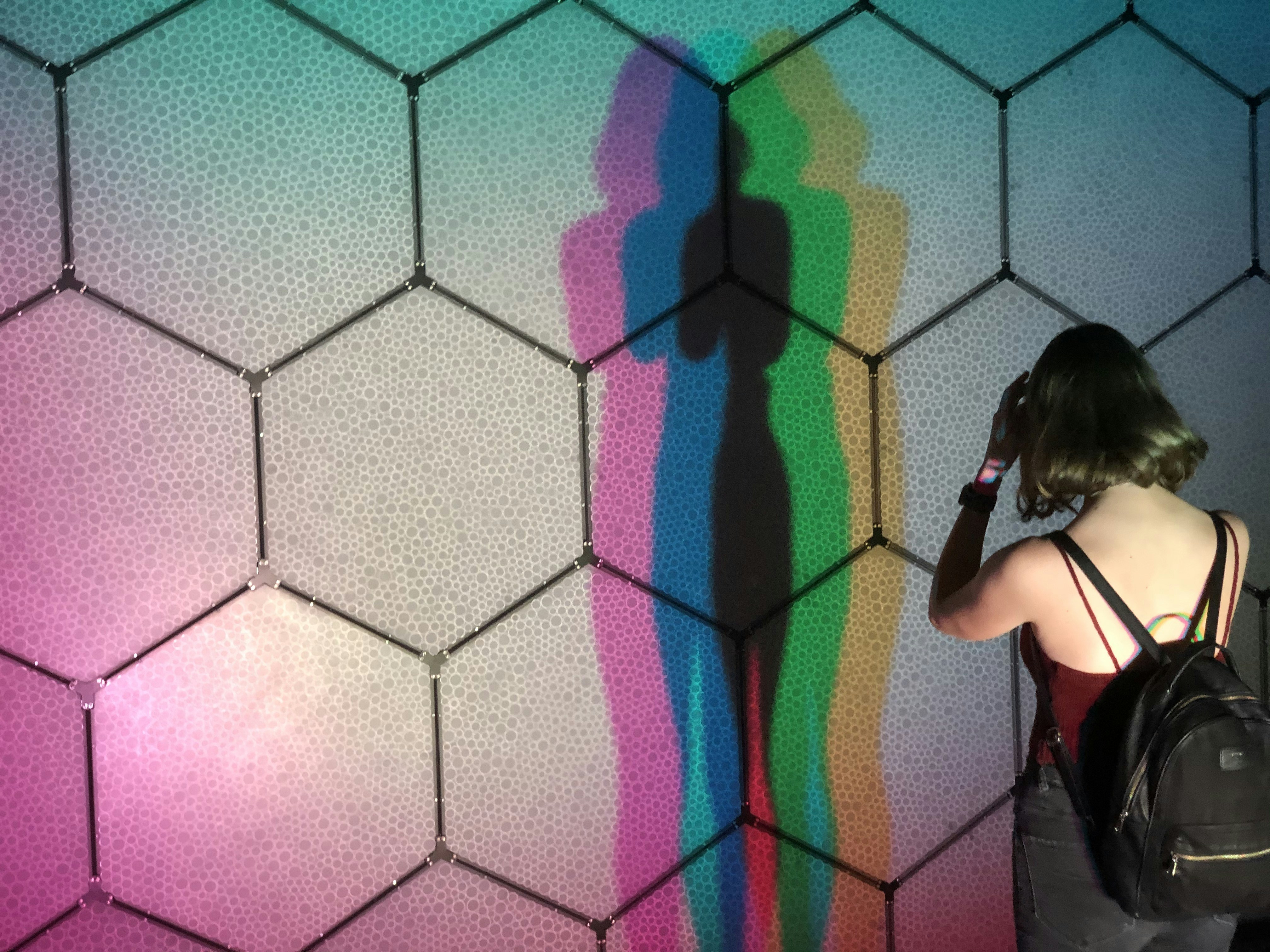 IDENTIFIKASI HAMA LALAT BUAH (Bactrocera SP)  PADA TANAMAN CABE Image