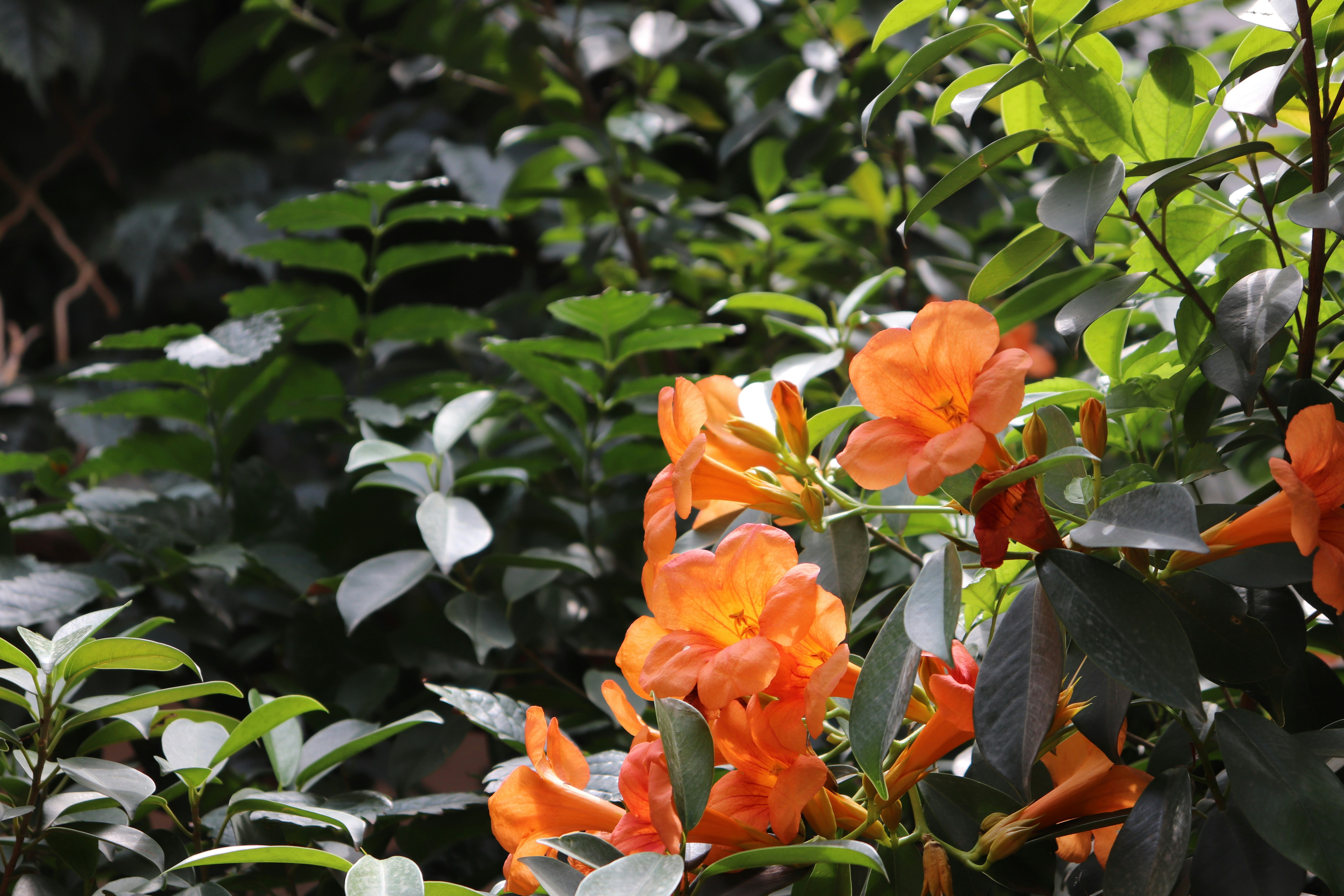 Photo by khurramali63