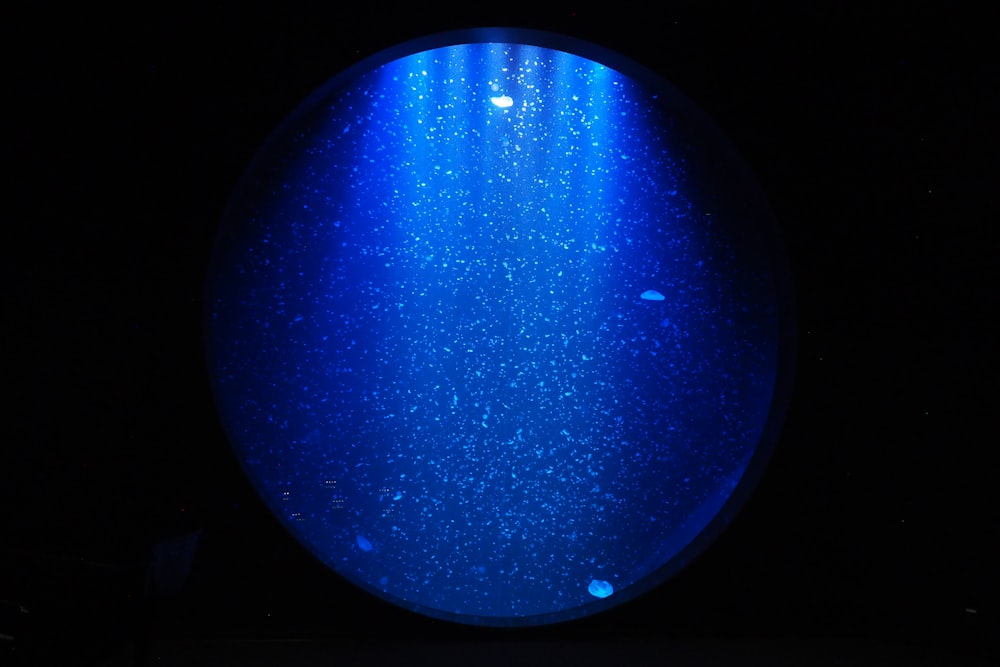 blue and black round light