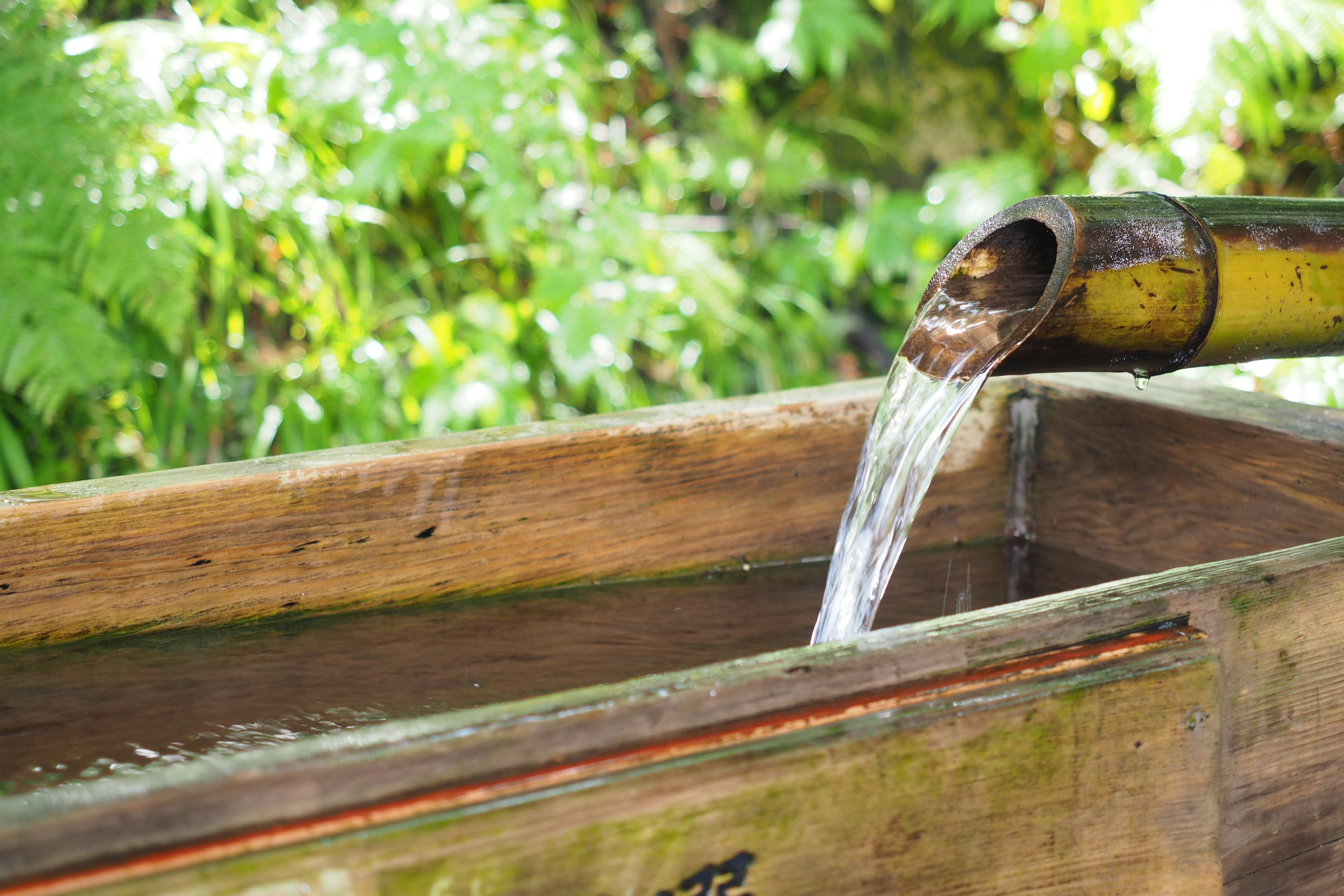 鹿島 アントラーズ ピンク ユニフォーム