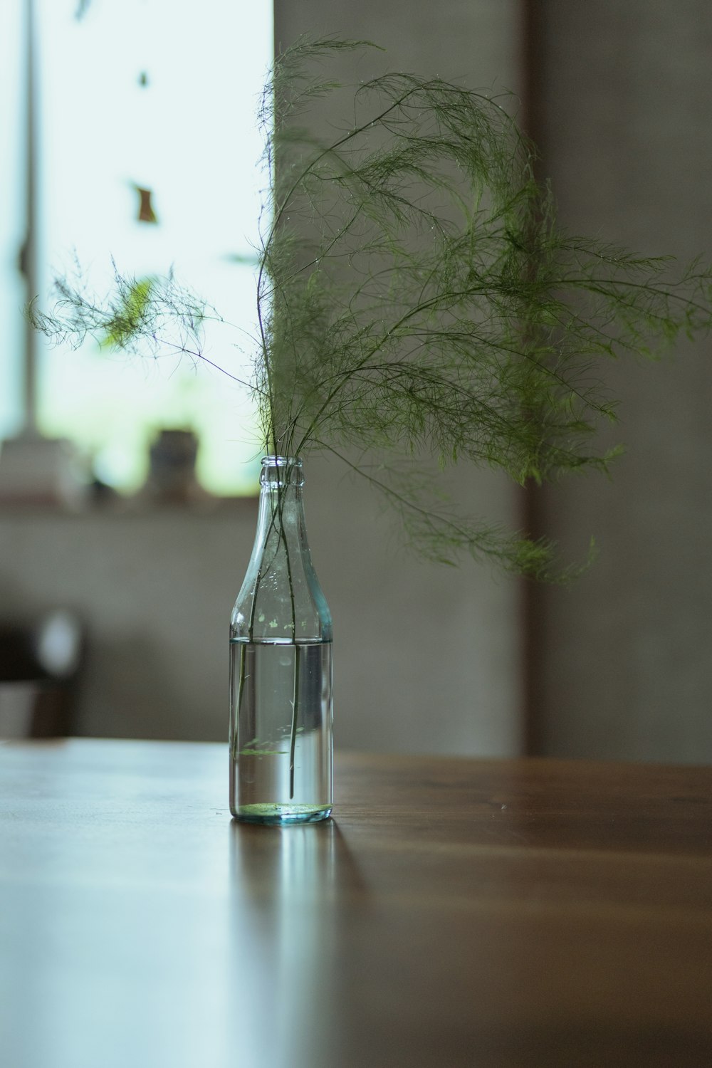 árbol verde en botella de vidrio transparente sobre mesa de madera marrón