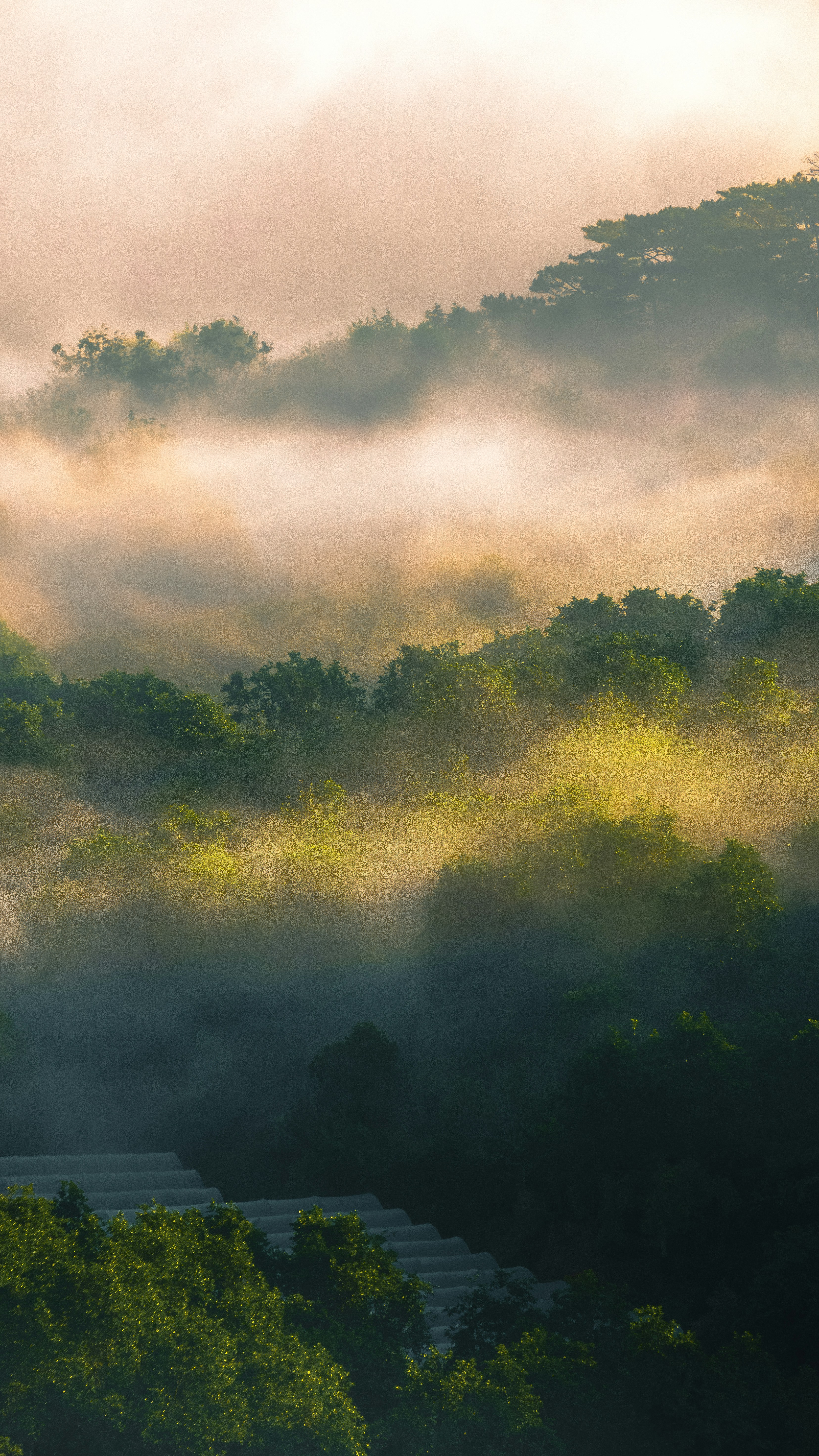 Photo by xiaowuuuuuuu