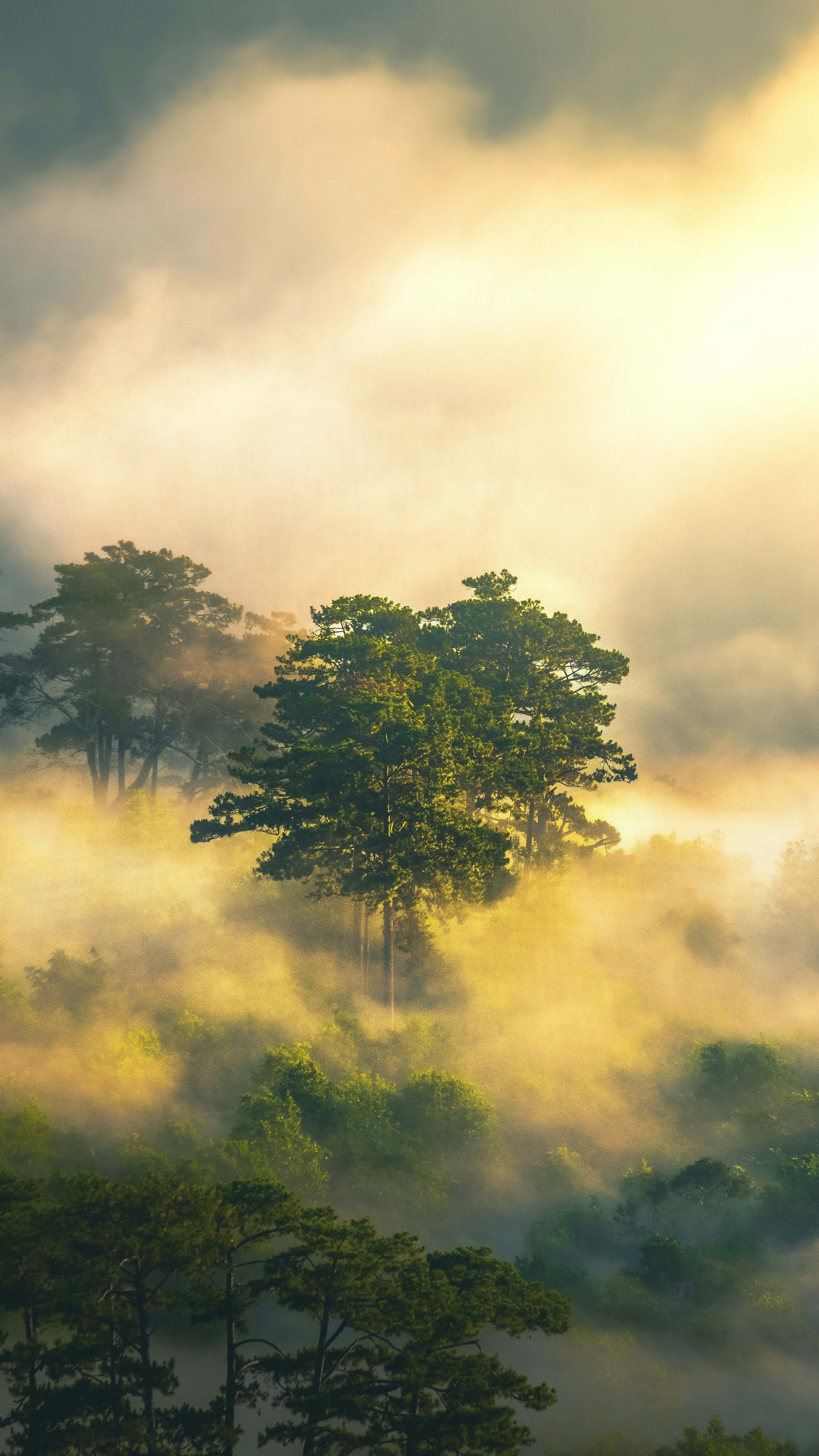 Photo by xiaowuuuuuuu