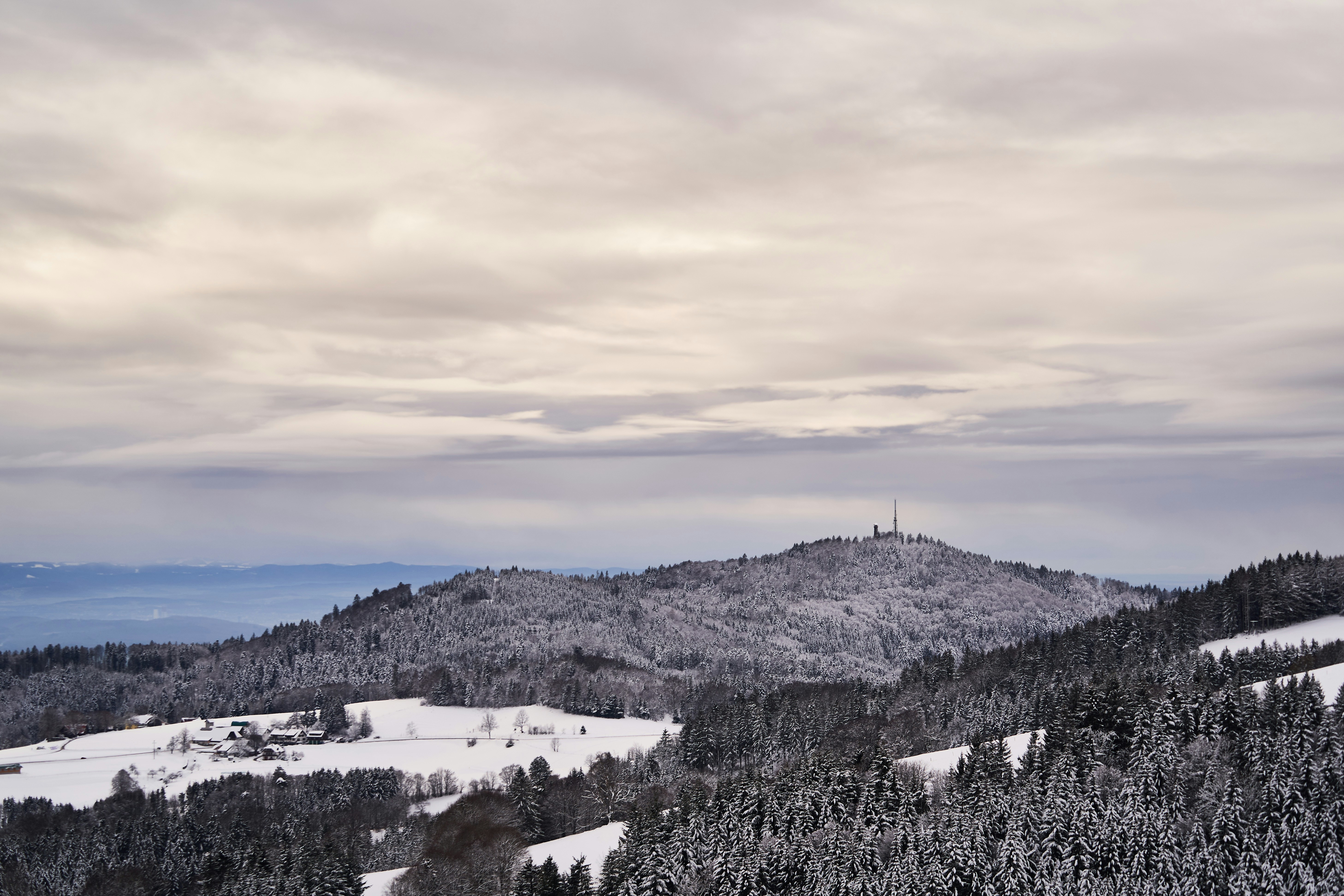 Photo by wolfgang_hasselmann